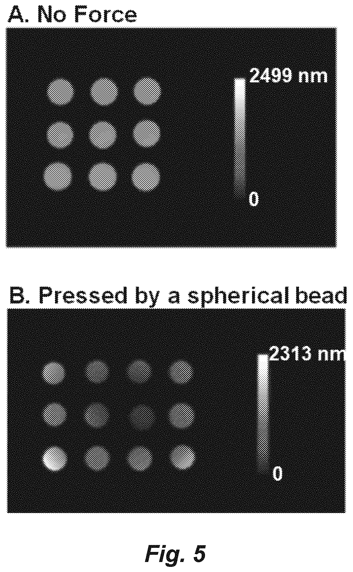 Patent US11782046 Figure 5 – Single-pixel optical technologies for instantly quantifying multicellular response profiles