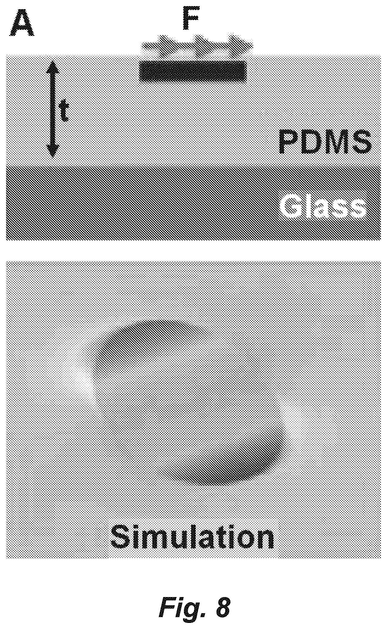 Patent US11782046 Figure 8 – Single-pixel optical technologies for instantly quantifying multicellular response profiles