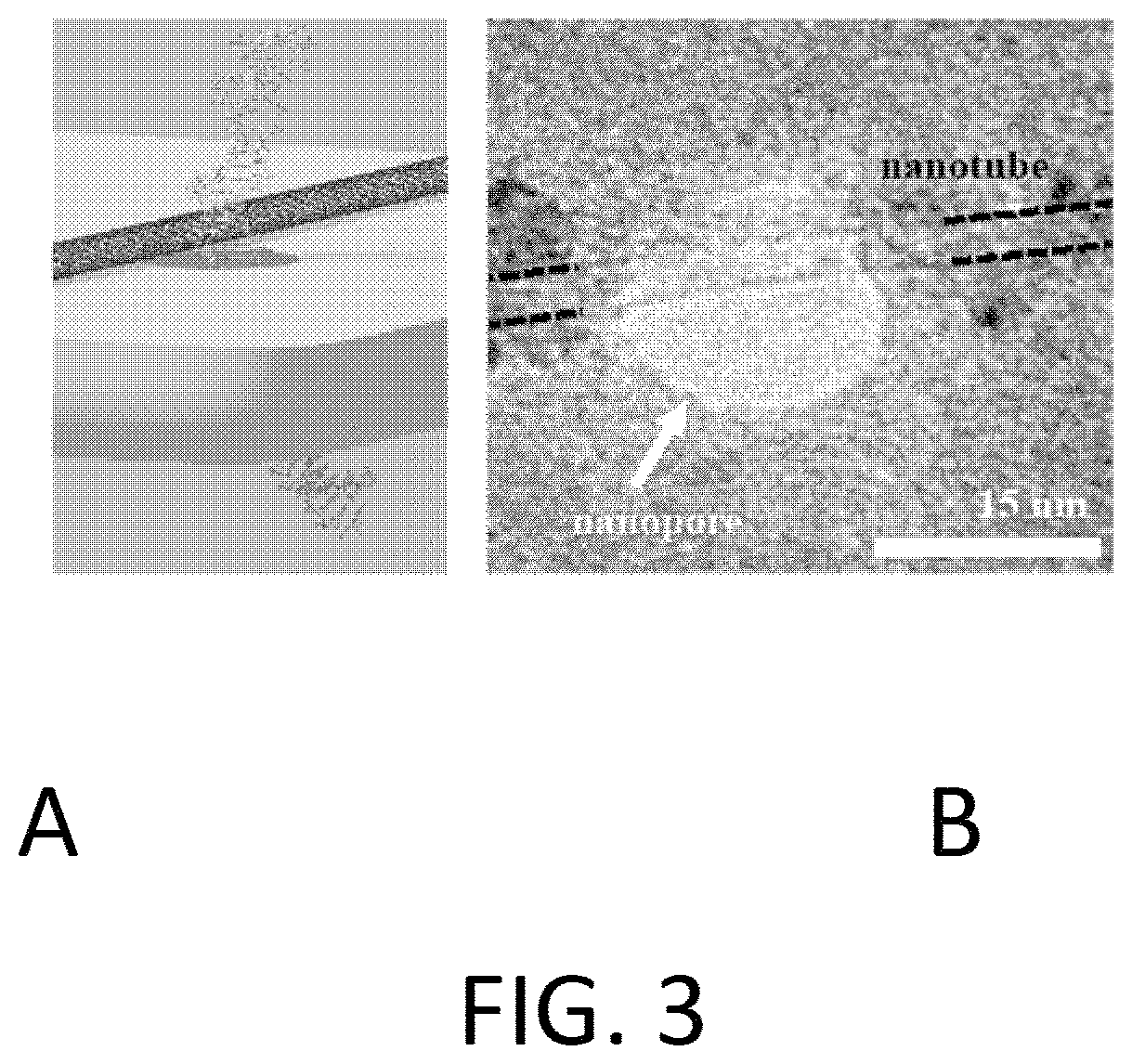 Patent US11782047 Figure 9 – Nanopore-containing substrates with aligned nanoscale electronic elements and methods of making and using same