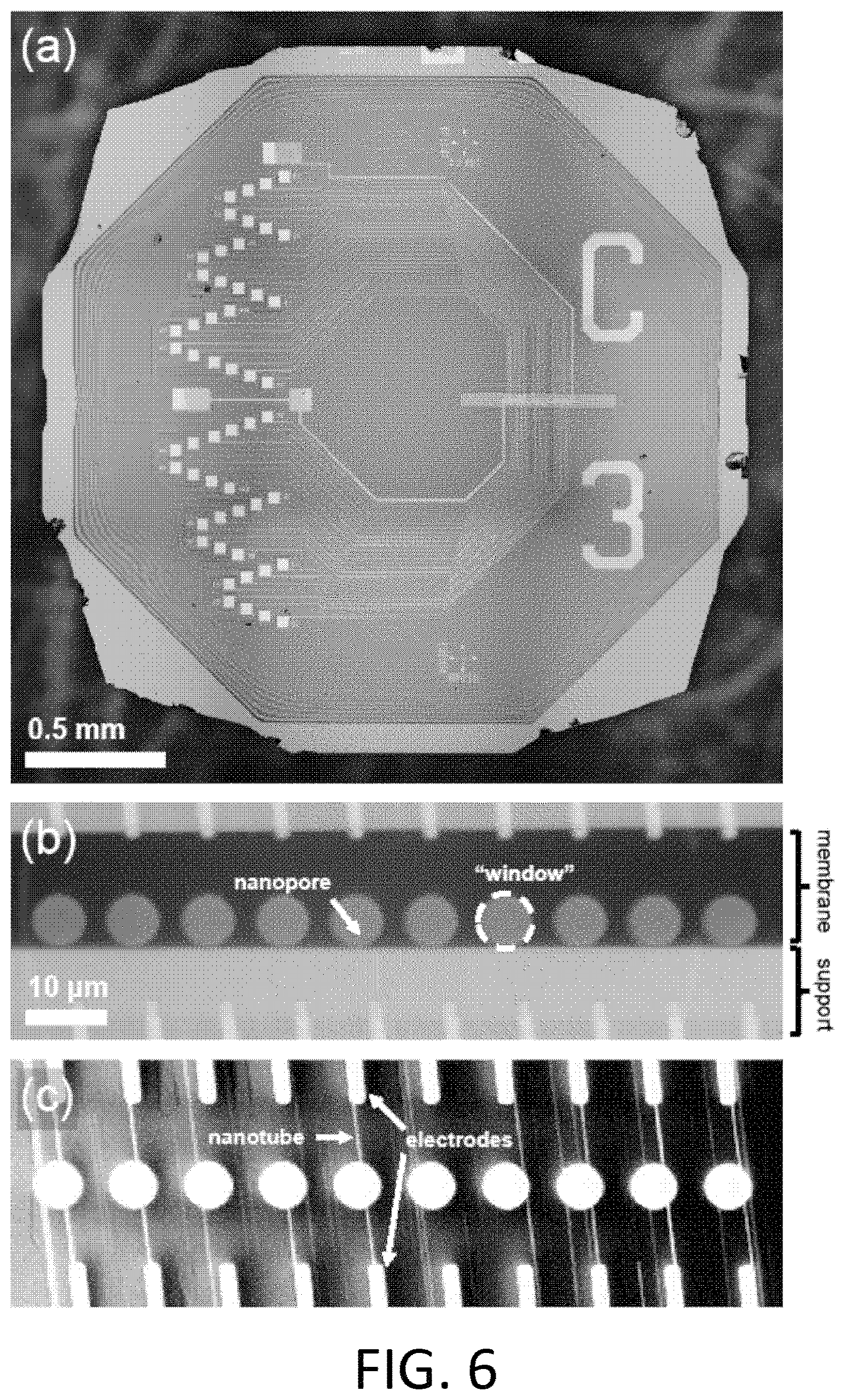 Patent US11782047 Figure 12 – Nanopore-containing substrates with aligned nanoscale electronic elements and methods of making and using same