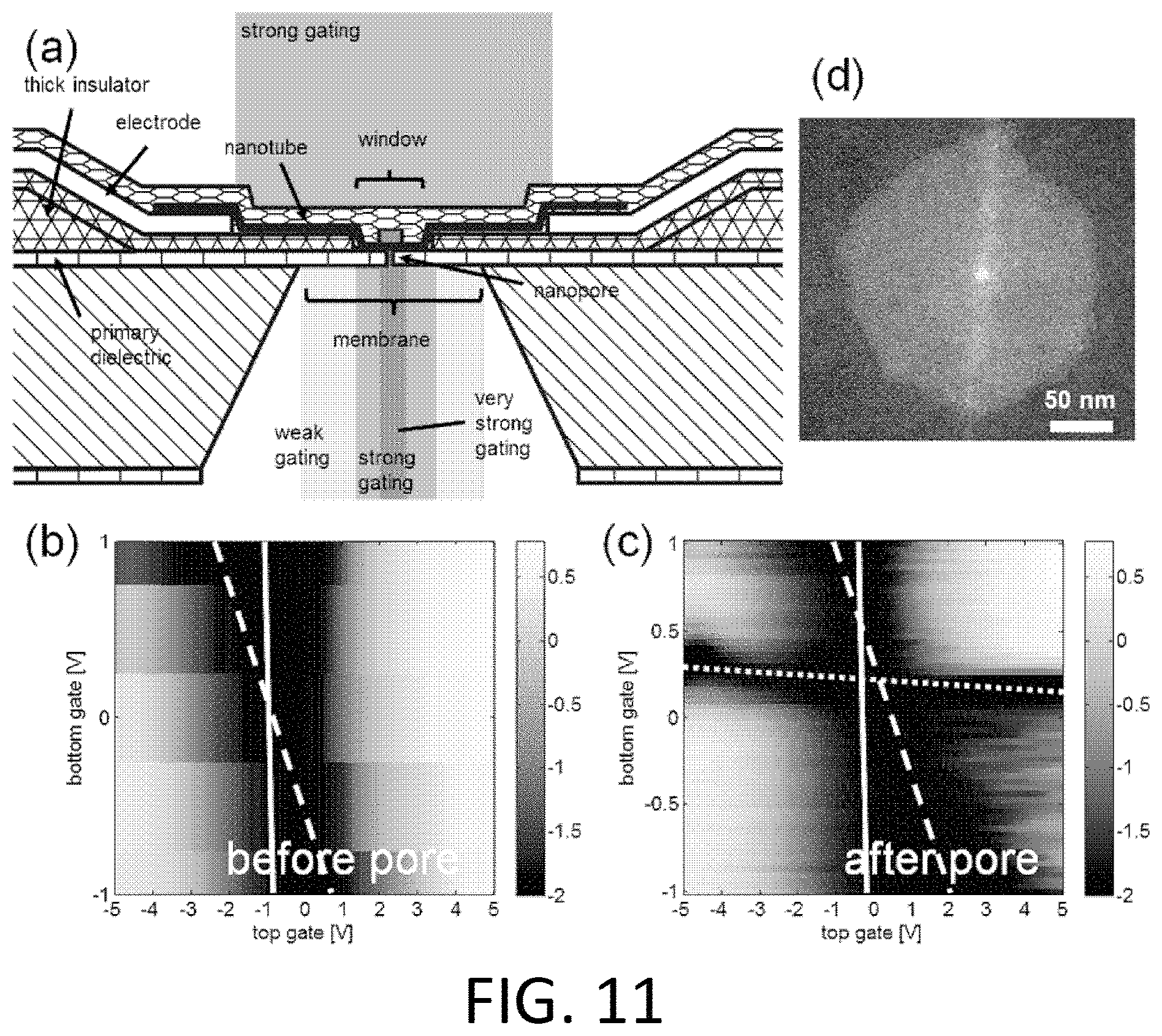 Patent US11782047 Figure 17 – Nanopore-containing substrates with aligned nanoscale electronic elements and methods of making and using same