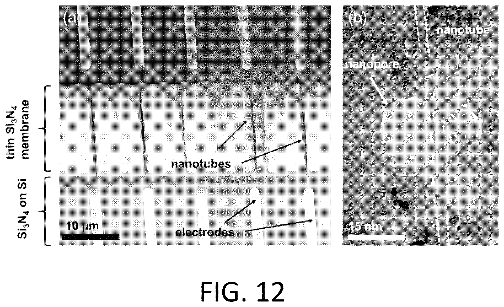 Patent US11782047 Figure 18 – Nanopore-containing substrates with aligned nanoscale electronic elements and methods of making and using same