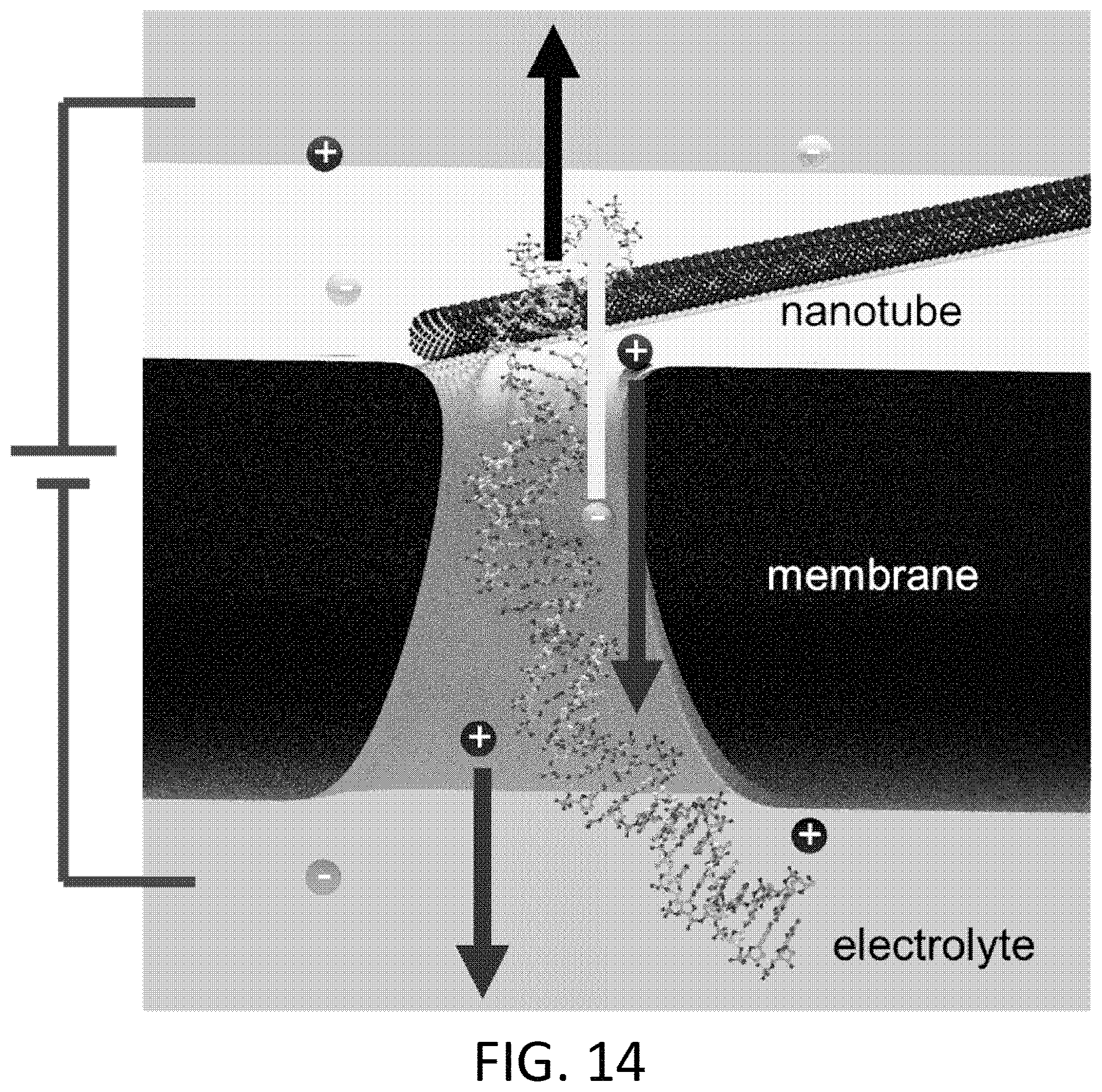 Patent US11782047 Figure 20 – Nanopore-containing substrates with aligned nanoscale electronic elements and methods of making and using same