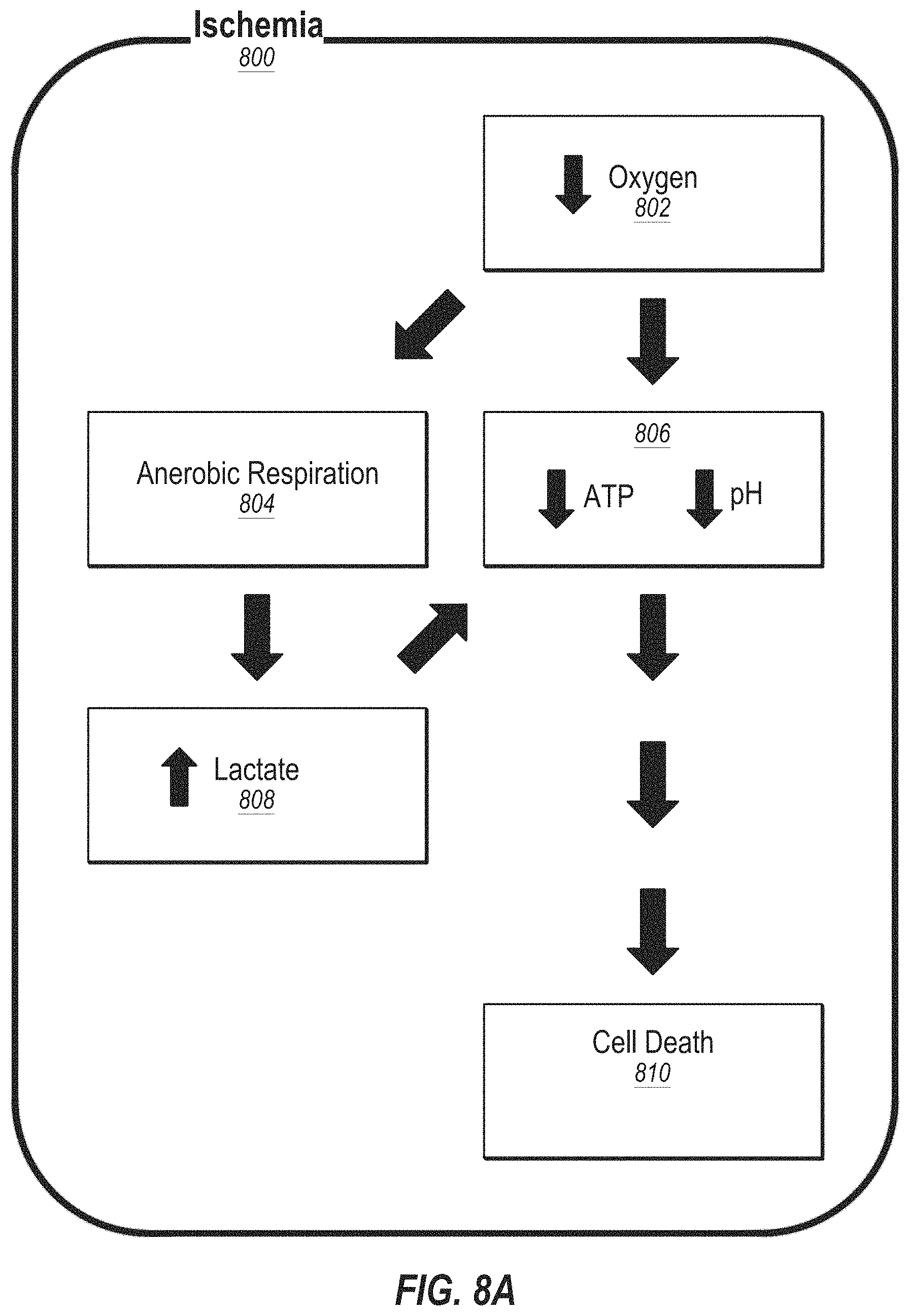 Patent US11782051 Figure 11 – Systems and methods for reperfusion injury
