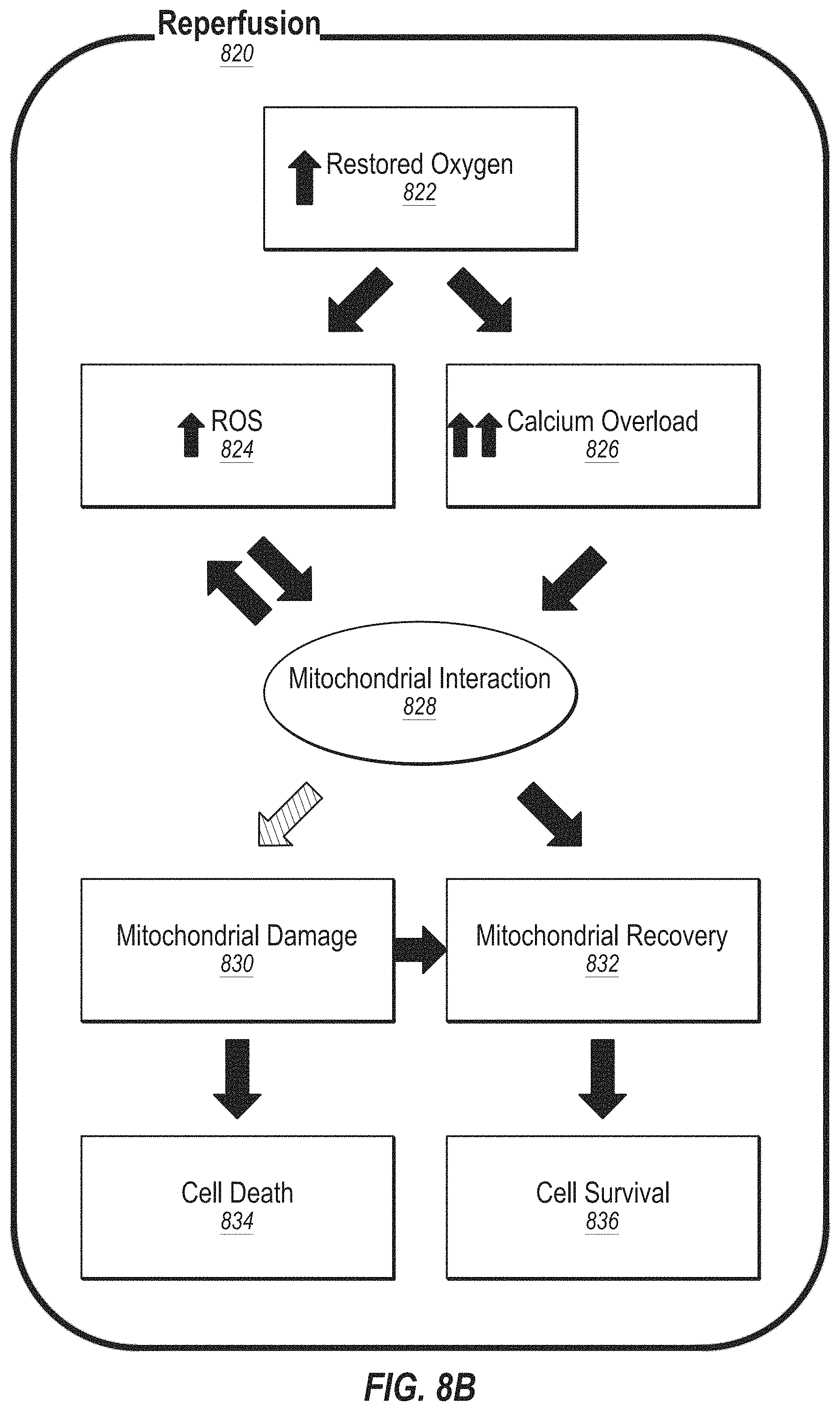Patent US11782051 Figure 12 – Systems and methods for reperfusion injury