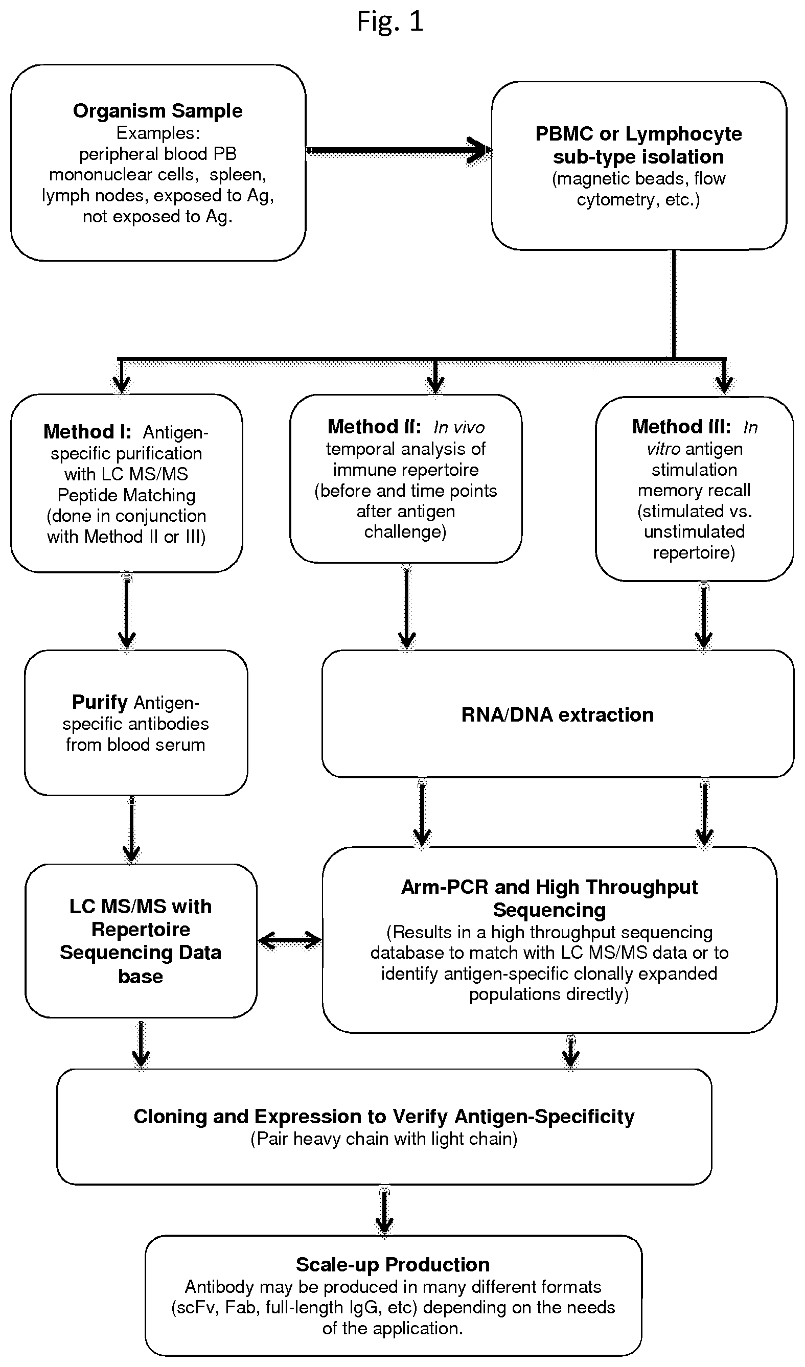 Patent US11782053 Figure 1 – Identification of antigen-specific adaptive immune responses using ARM-PCR and high-throughput sequencing