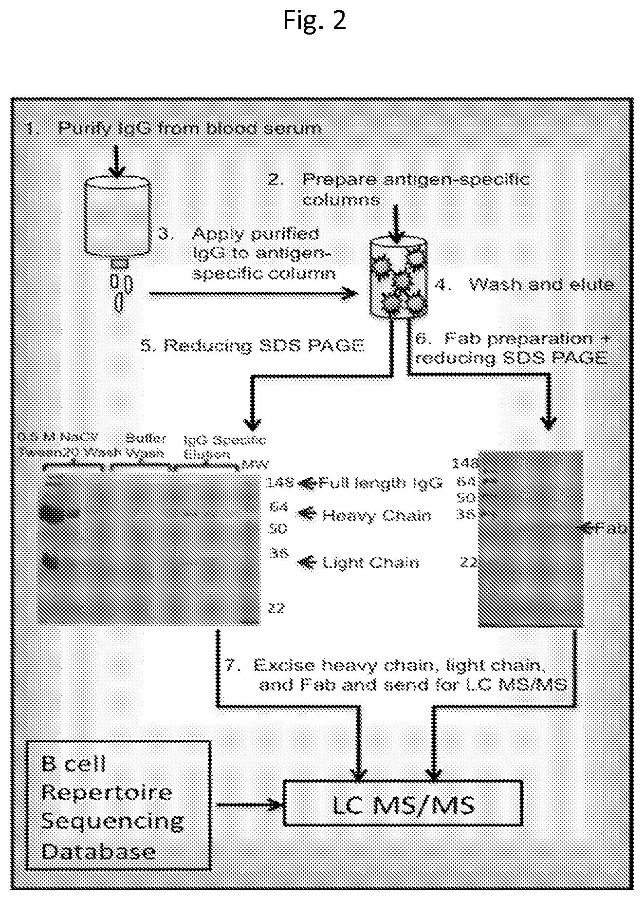 Patent US11782053 Figure 2 – Identification of antigen-specific adaptive immune responses using ARM-PCR and high-throughput sequencing