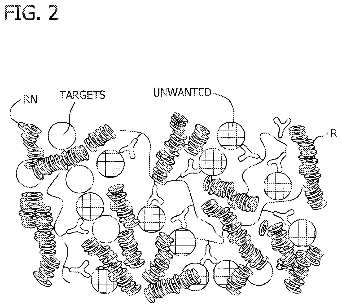 Patent US11782054 Figure 2 – Antibody-linked immuno-sedimentation agent and method of isolating a target form a sample using same