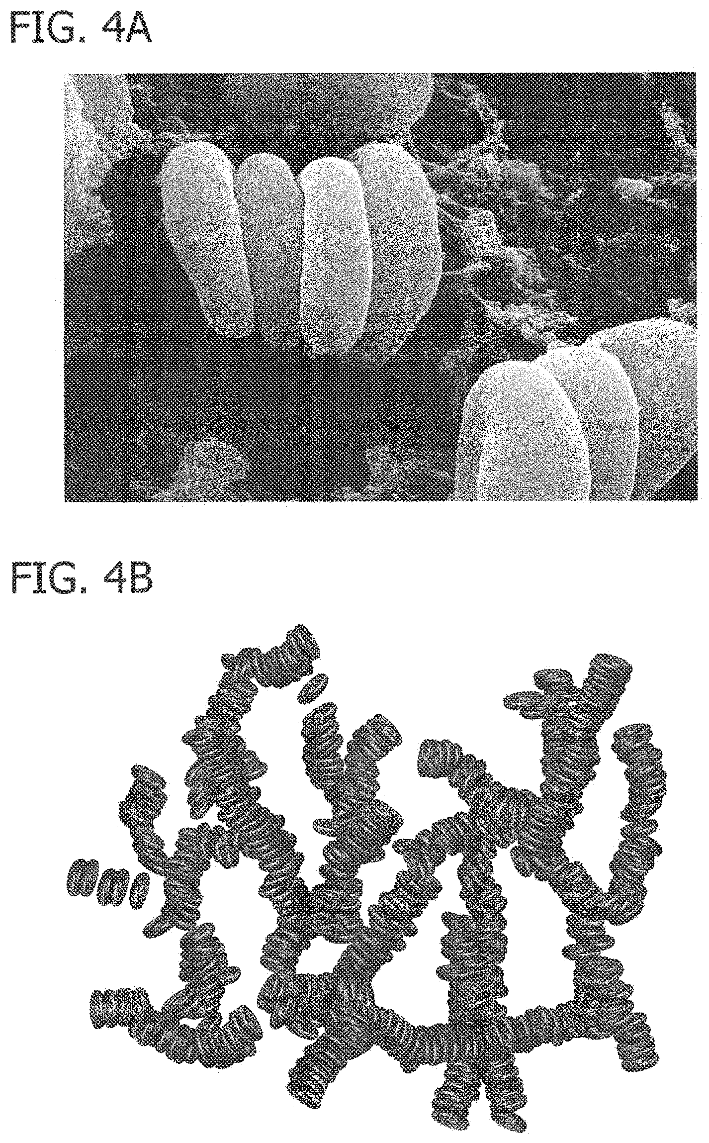 Patent US11782054 Figure 4 – Antibody-linked immuno-sedimentation agent and method of isolating a target form a sample using same