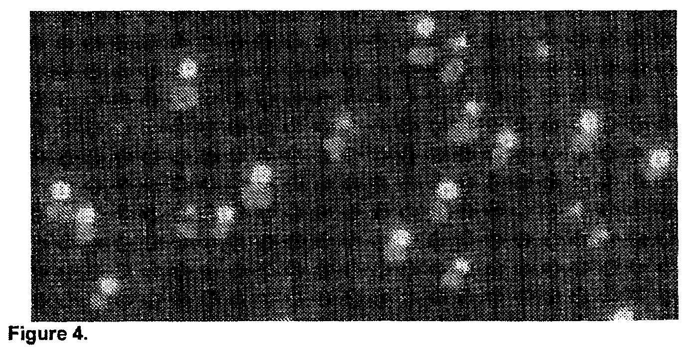 Patent US11782056 Figure 5 – Global proteomic screening of random bead arrays using mass spectrometry imaging