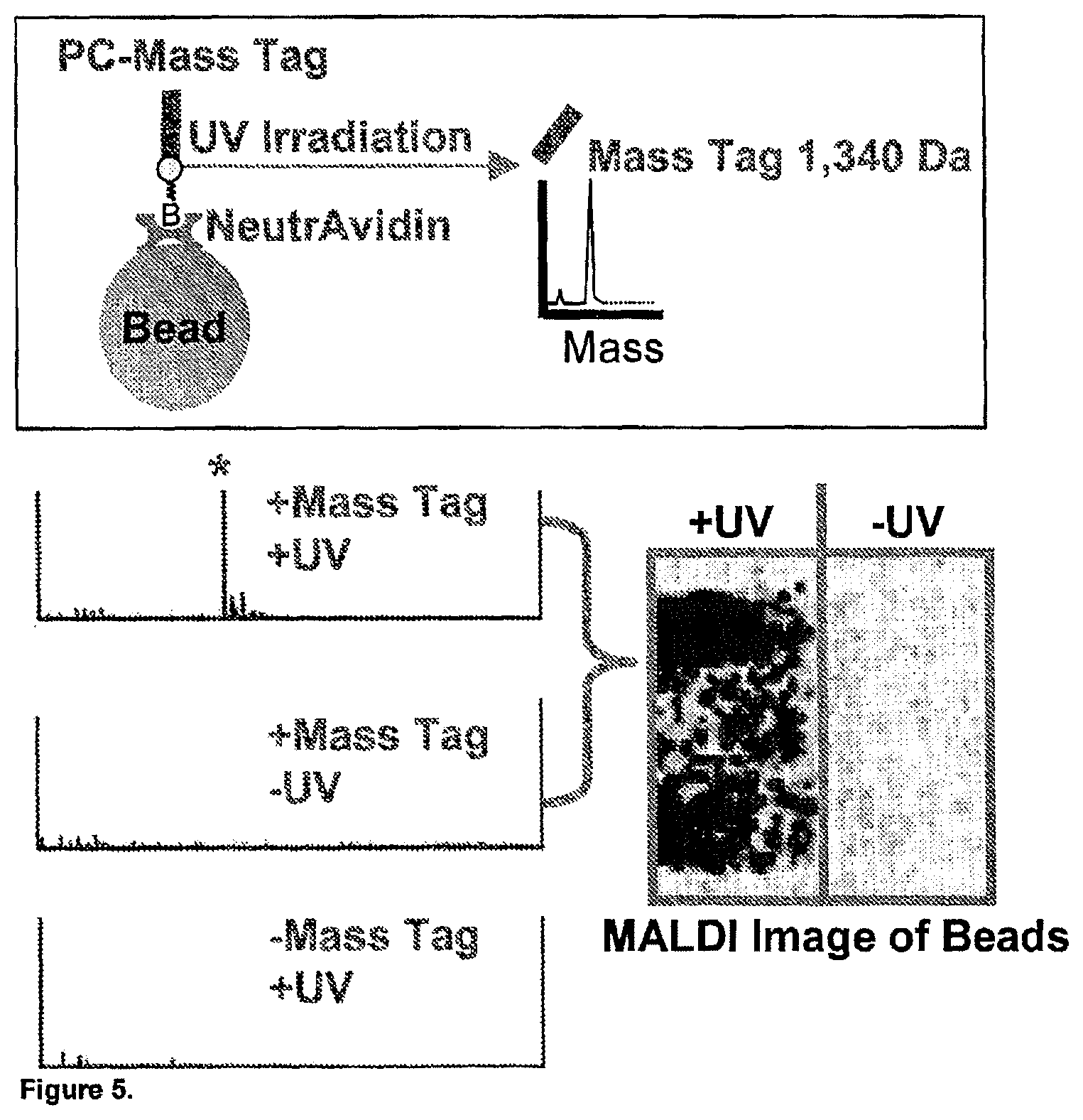 Patent US11782056 Figure 6 – Global proteomic screening of random bead arrays using mass spectrometry imaging