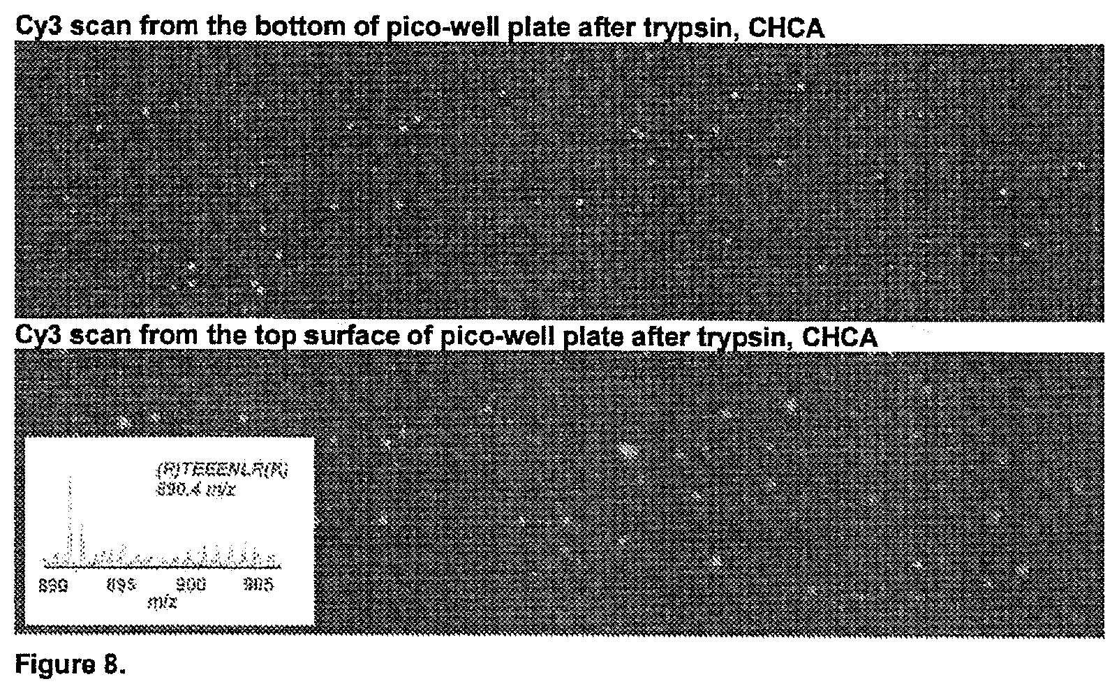 Patent US11782056 Figure 10 – Global proteomic screening of random bead arrays using mass spectrometry imaging