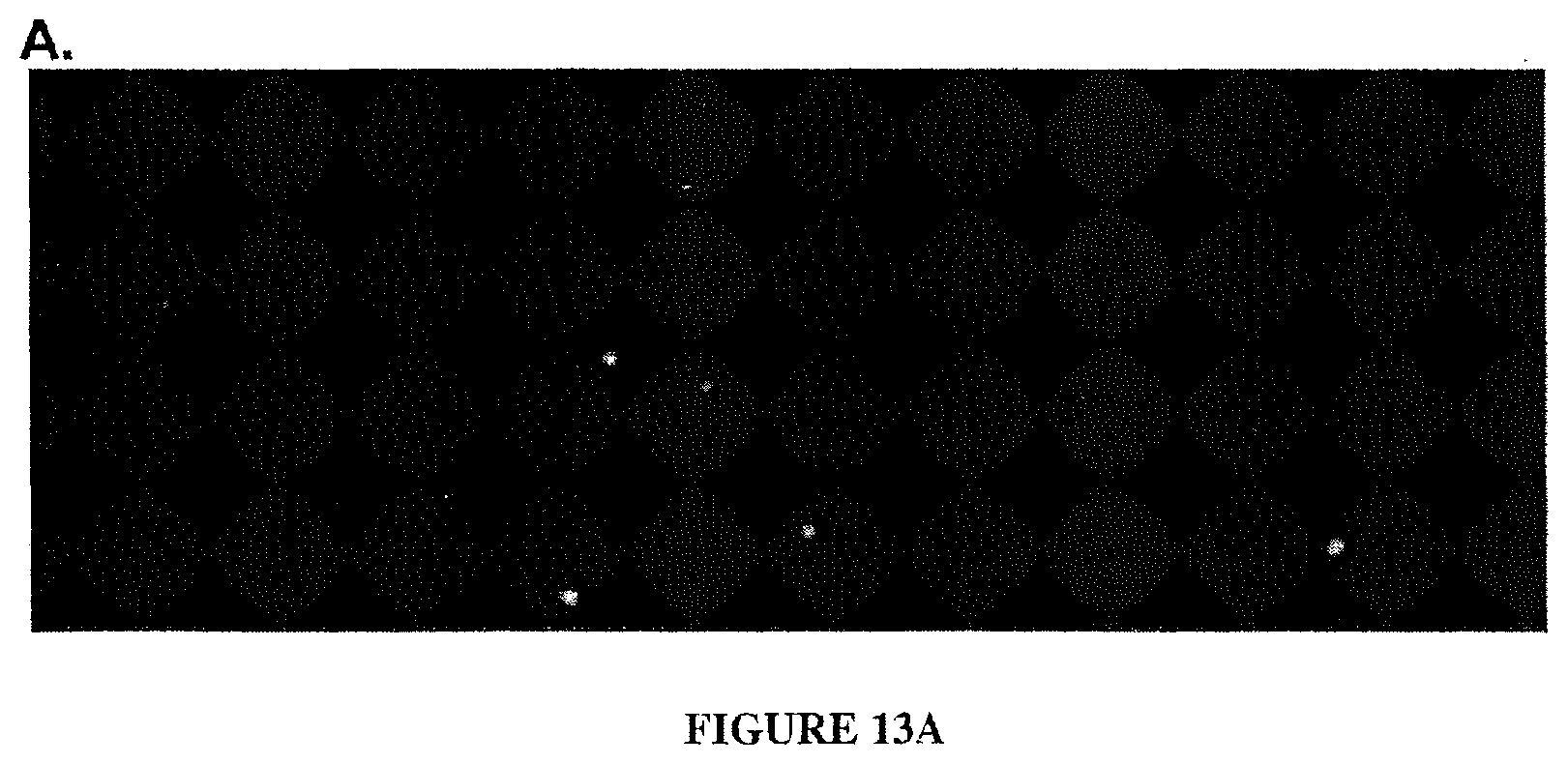 Patent US11782056 Figure 17 – Global proteomic screening of random bead arrays using mass spectrometry imaging