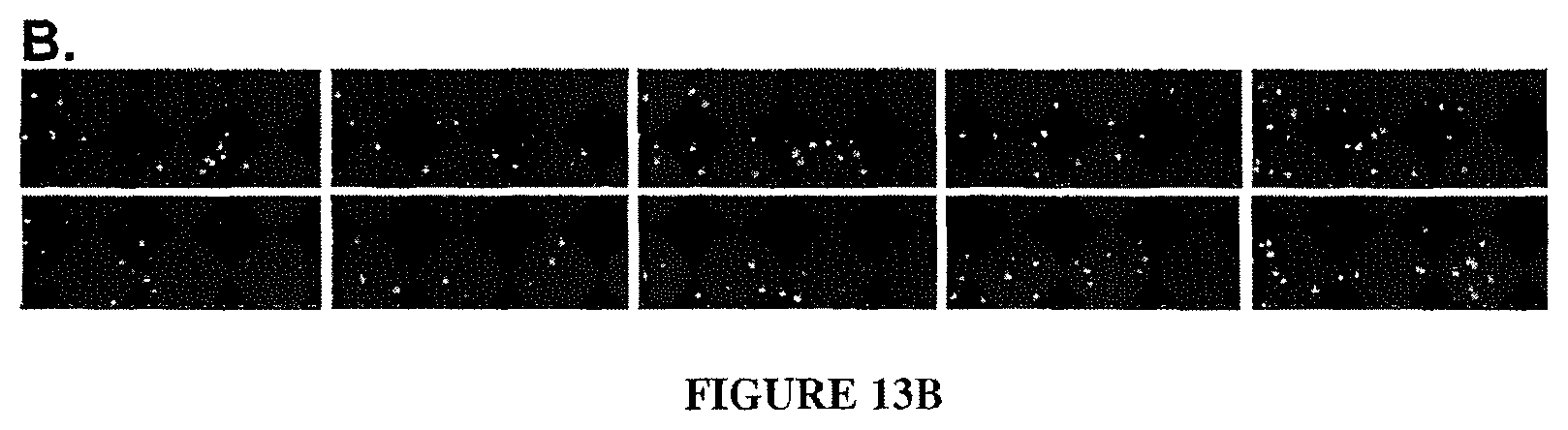 Patent US11782056 Figure 18 – Global proteomic screening of random bead arrays using mass spectrometry imaging