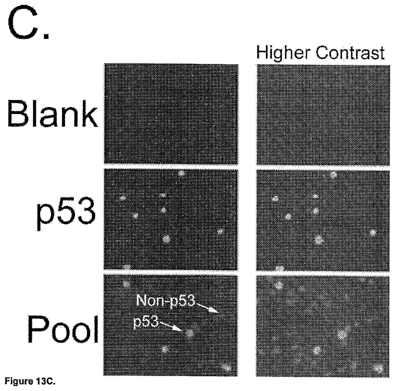 Patent US11782056 Figure 19 – Global proteomic screening of random bead arrays using mass spectrometry imaging