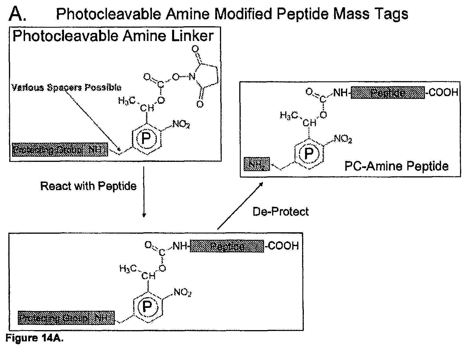 Patent US11782056 Figure 20 – Global proteomic screening of random bead arrays using mass spectrometry imaging