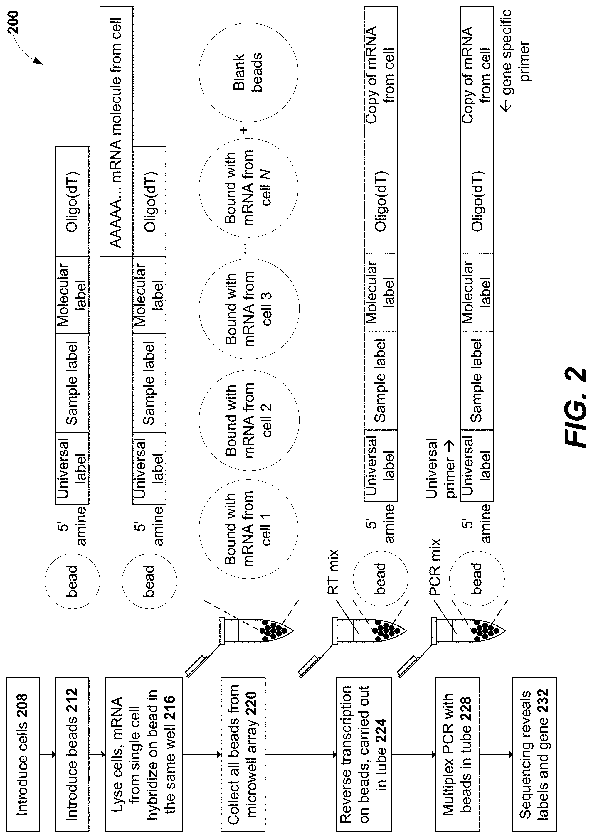 Patent US11782059 Figure 2 – Measurement of protein expression using reagents with barcoded oligonucleotide sequences