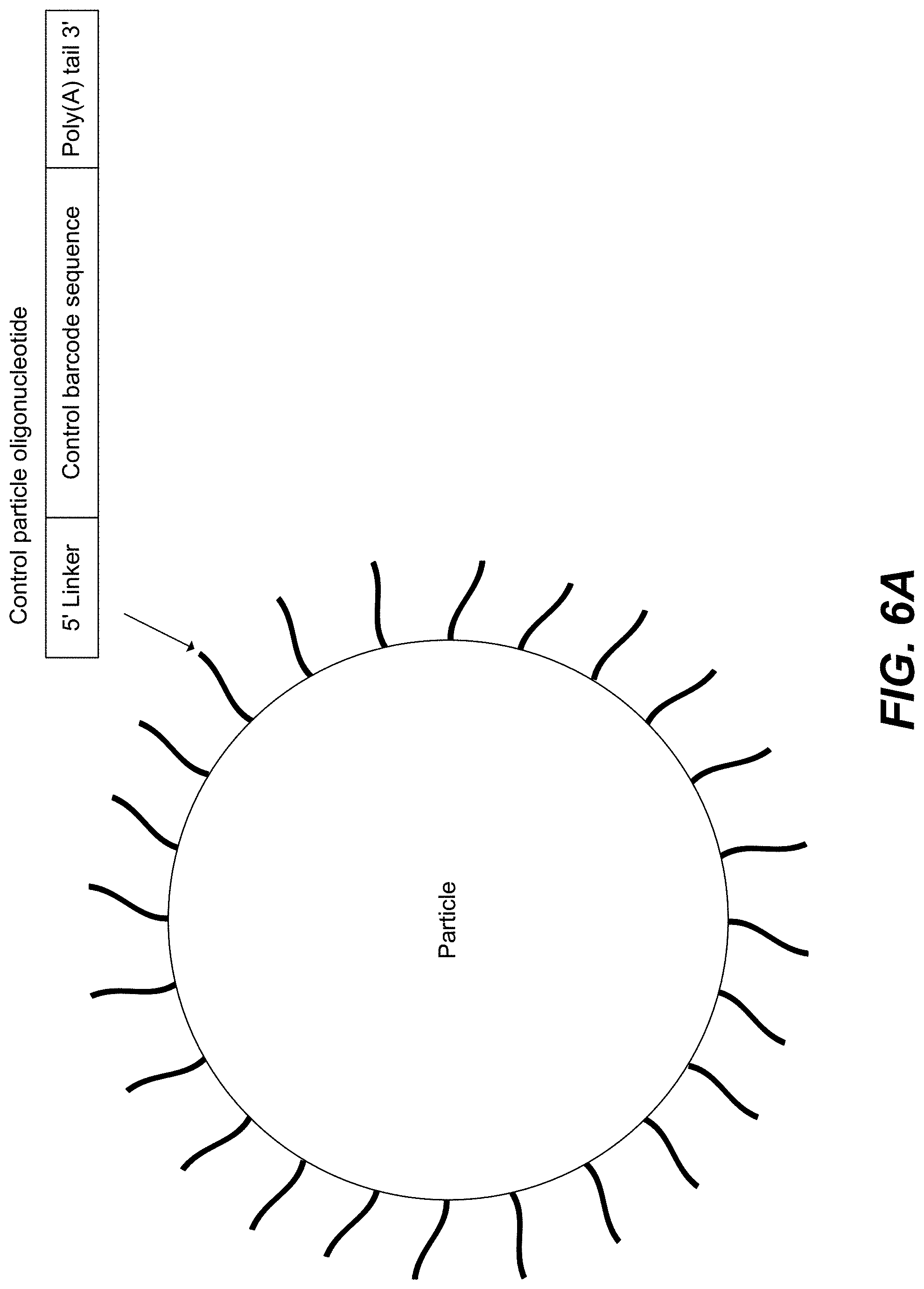 Patent US11782059 Figure 6 – Measurement of protein expression using reagents with barcoded oligonucleotide sequences