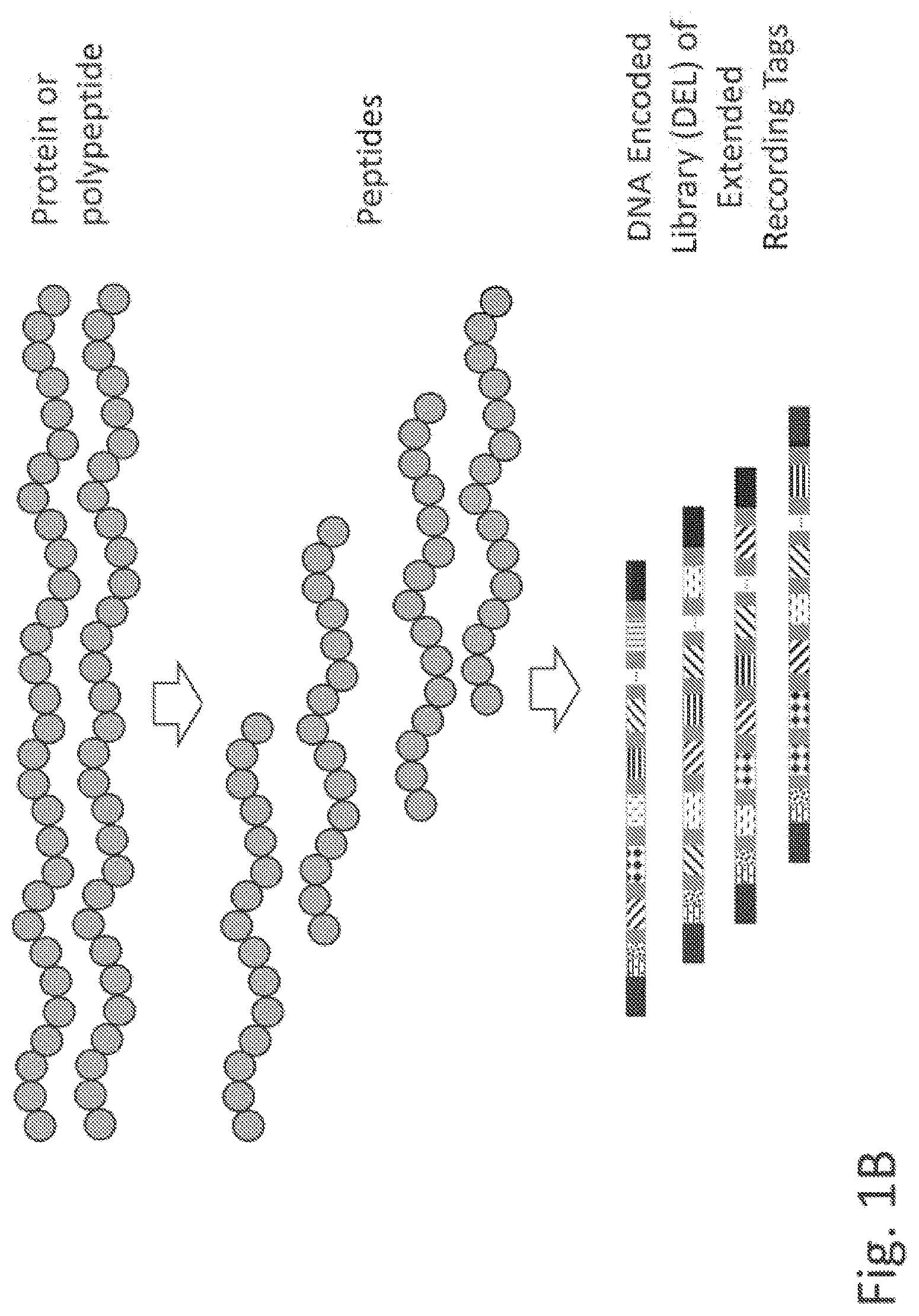 Patent US11782062 Figure 2 – Kits for analysis using nucleic acid encoding and/or label
