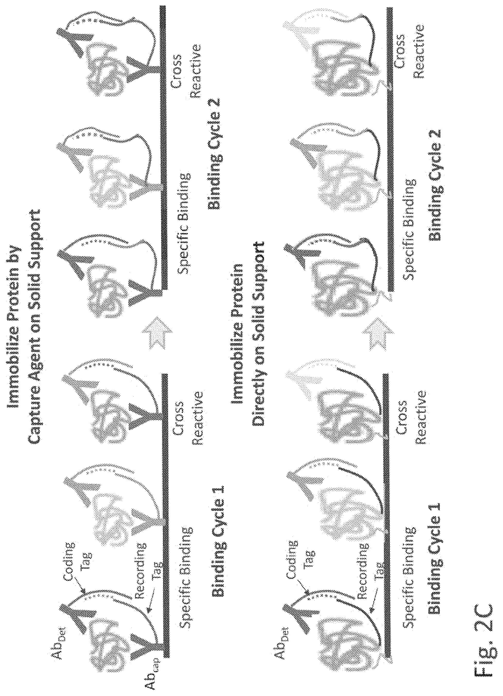 Patent US11782062 Figure 5 – Kits for analysis using nucleic acid encoding and/or label