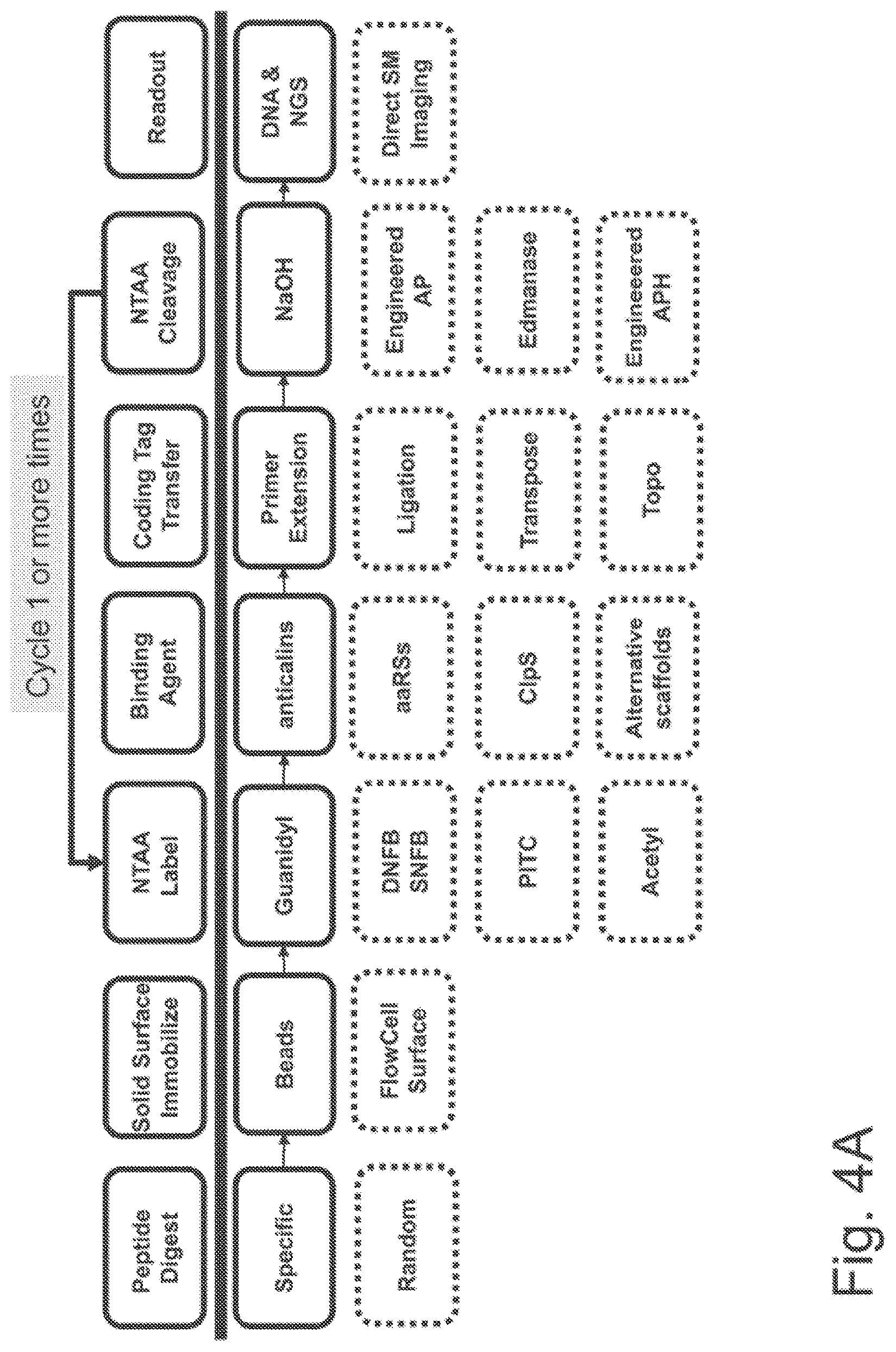 Patent US11782062 Figure 8 – Kits for analysis using nucleic acid encoding and/or label