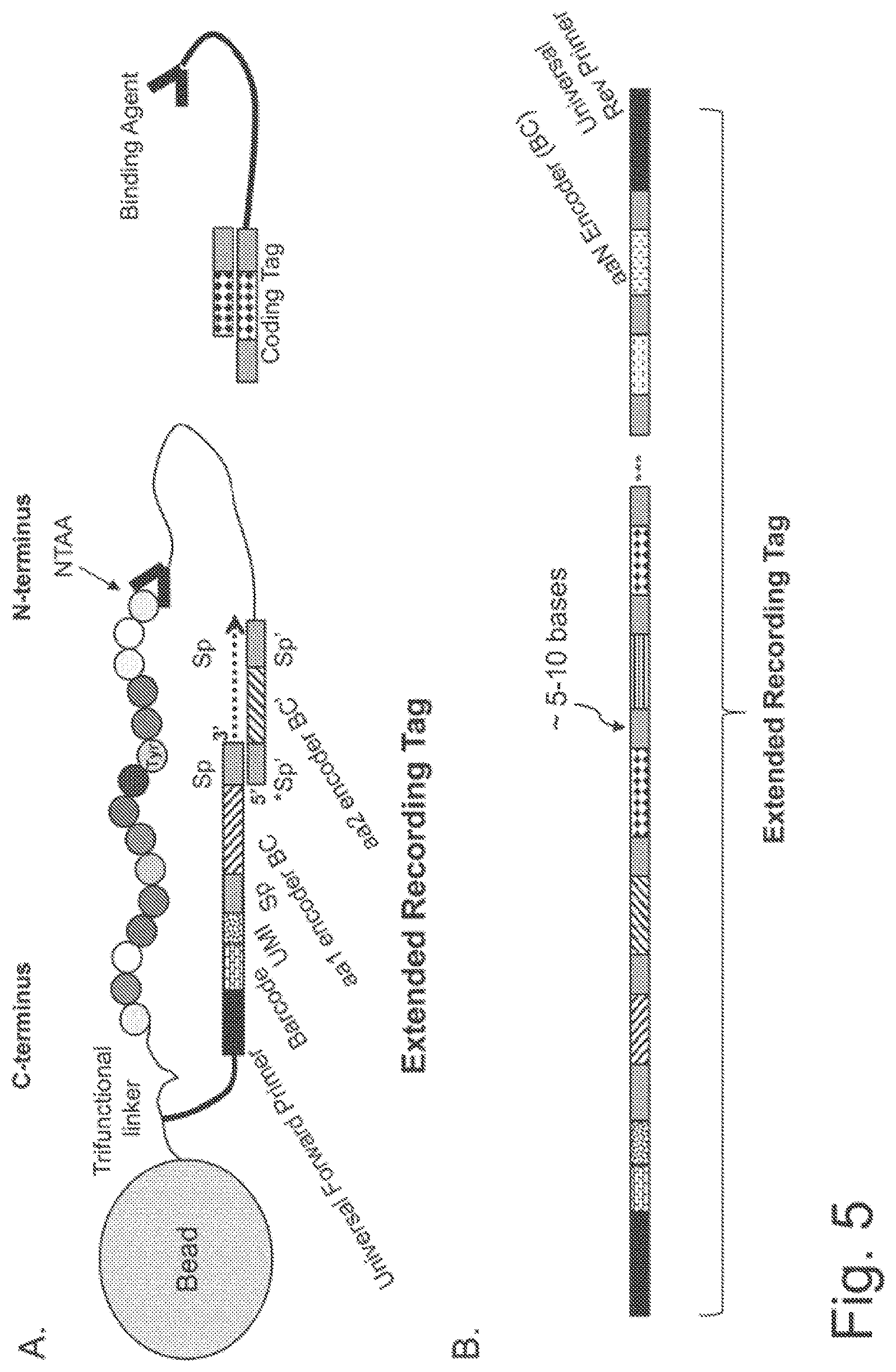 Patent US11782062 Figure 10 – Kits for analysis using nucleic acid encoding and/or label