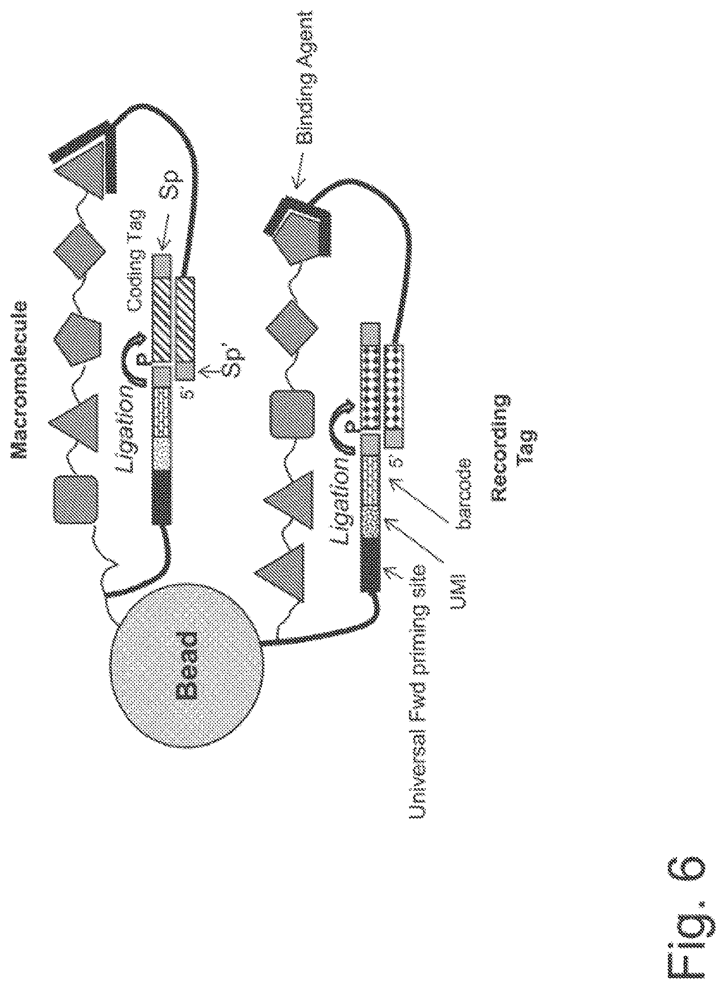 Patent US11782062 Figure 11 – Kits for analysis using nucleic acid encoding and/or label