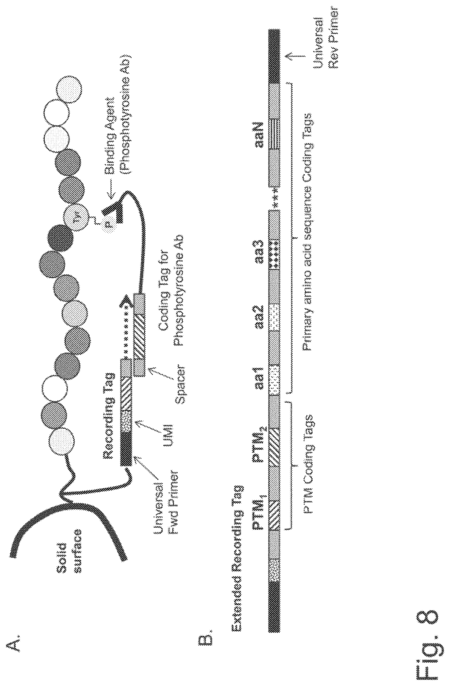 Patent US11782062 Figure 13 – Kits for analysis using nucleic acid encoding and/or label