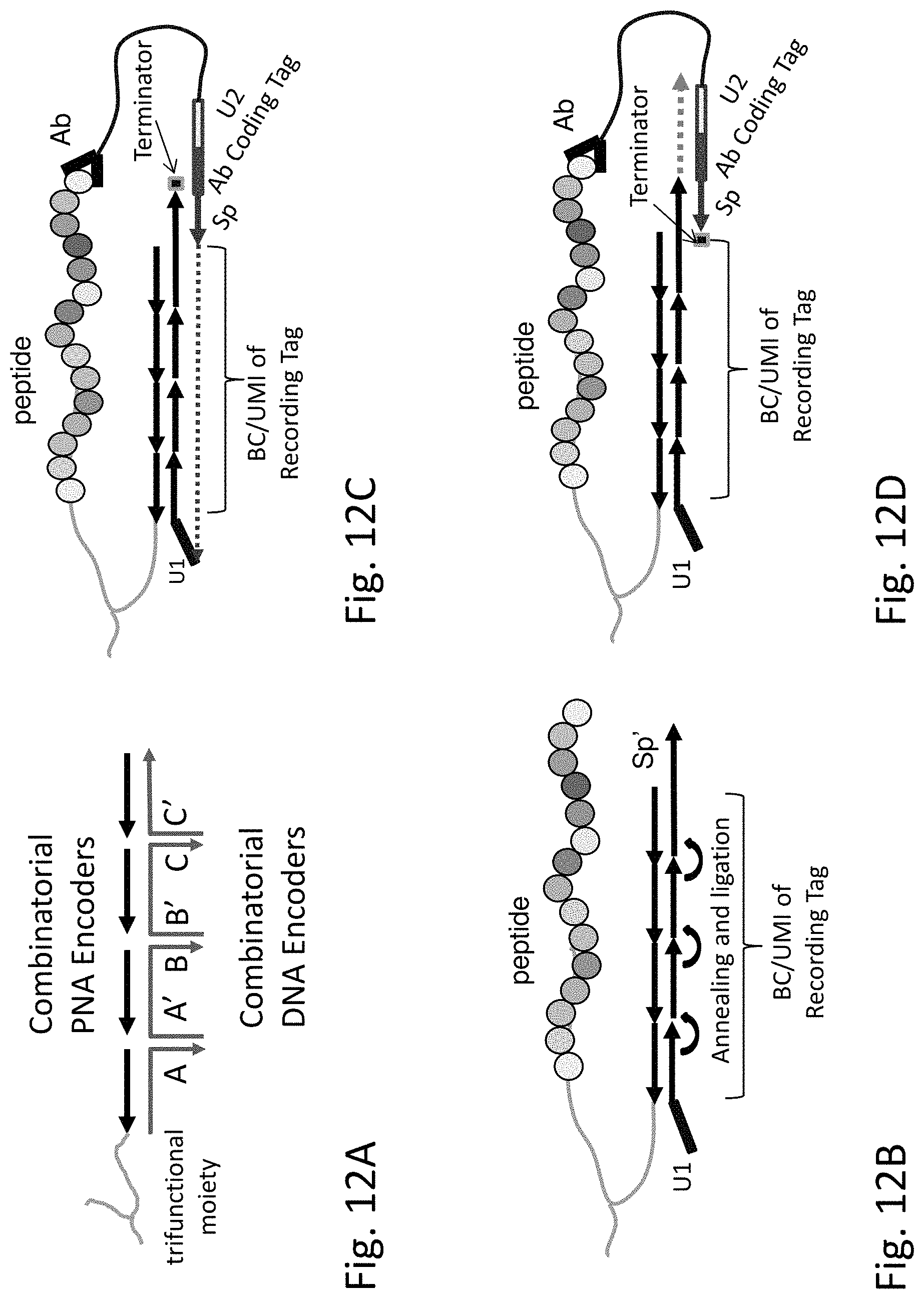 Patent US11782062 Figure 17 – Kits for analysis using nucleic acid encoding and/or label