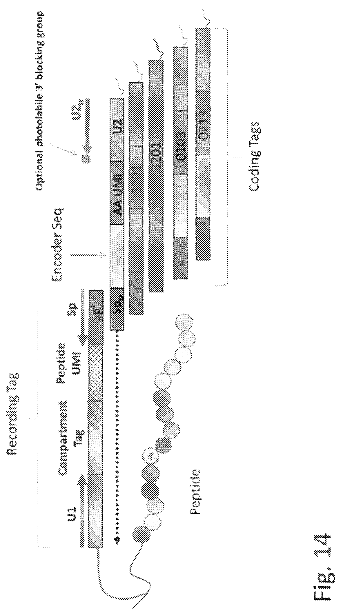 Patent US11782062 Figure 19 – Kits for analysis using nucleic acid encoding and/or label