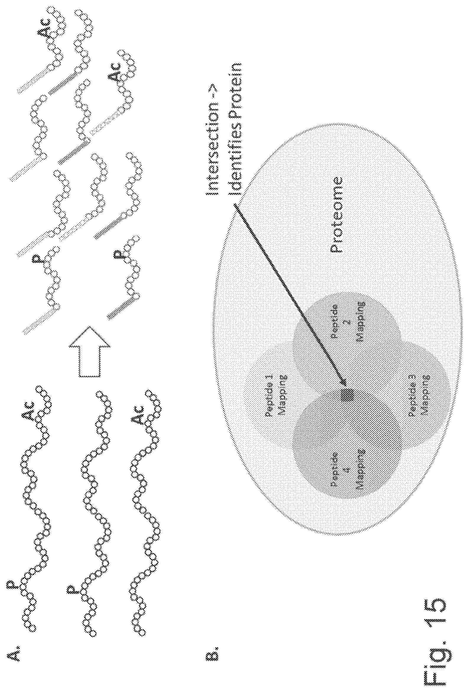 Patent US11782062 Figure 20 – Kits for analysis using nucleic acid encoding and/or label