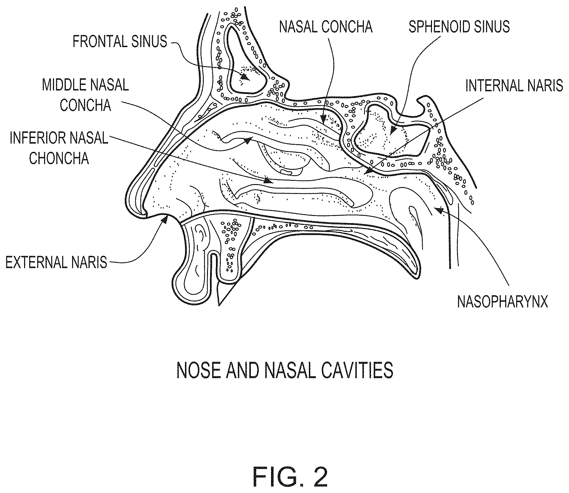 Patent US11782063 Figure 2 – Methods for detecting antibodies in mucosal samples and device for sampling mucosal material