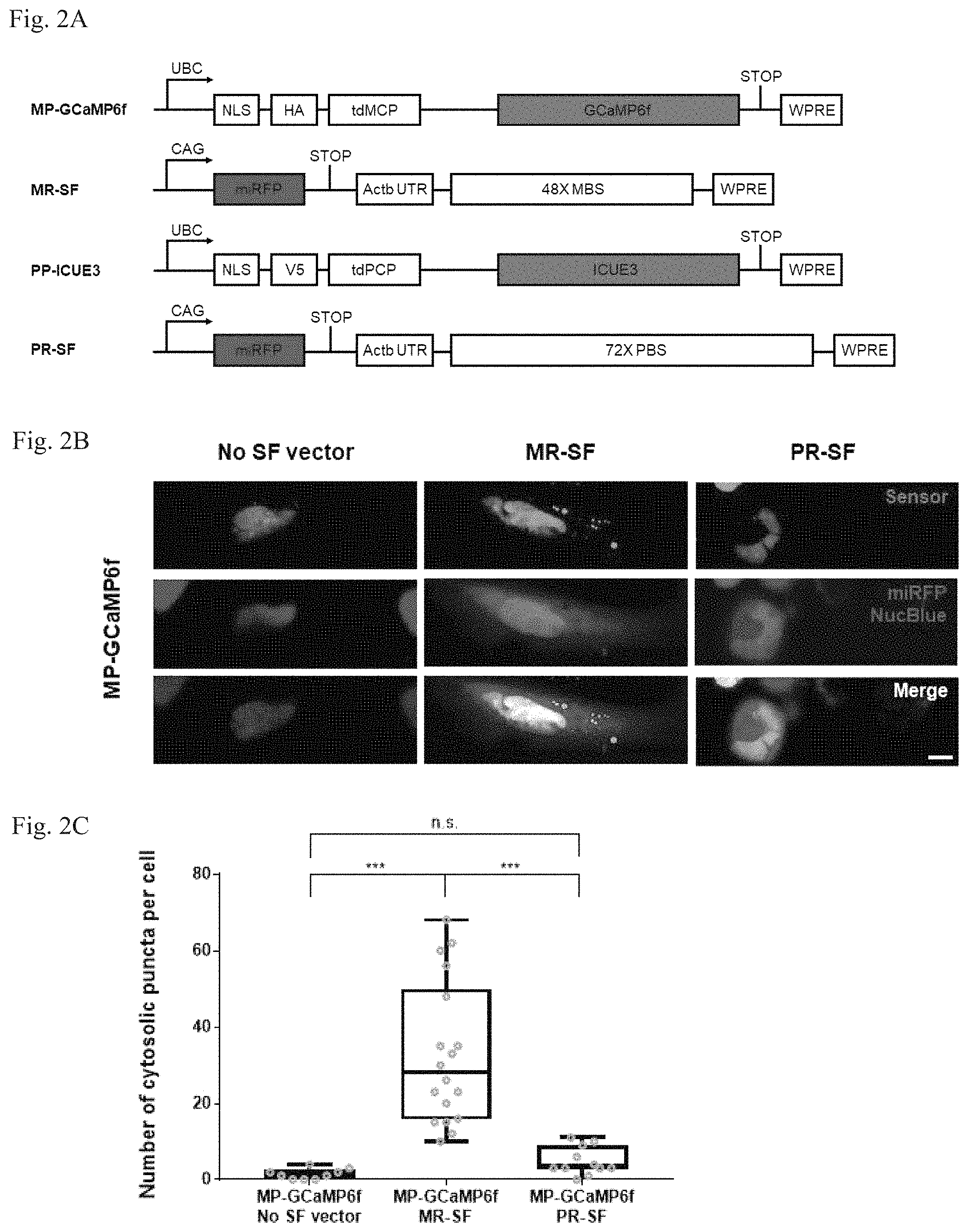 Patent US11782064 Figure 3 – Methods for simultaneous measurement of multiple biological signals from spectrally identical fluorescent reporters