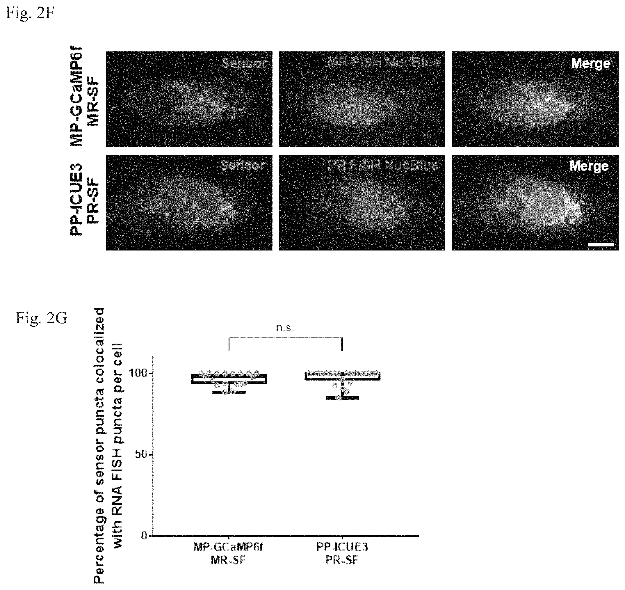 Patent US11782064 Figure 5 – Methods for simultaneous measurement of multiple biological signals from spectrally identical fluorescent reporters