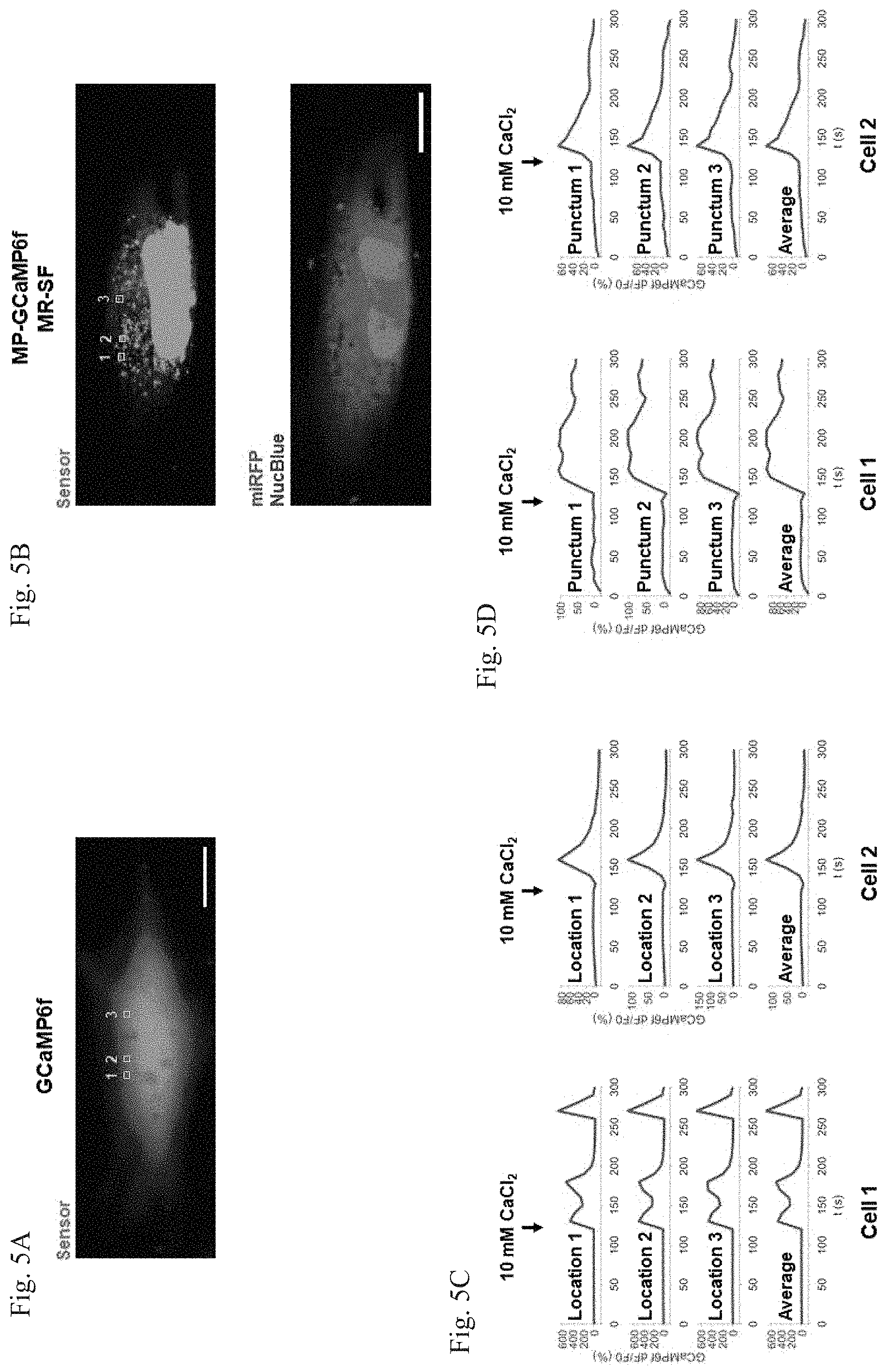 Patent US11782064 Figure 10 – Methods for simultaneous measurement of multiple biological signals from spectrally identical fluorescent reporters