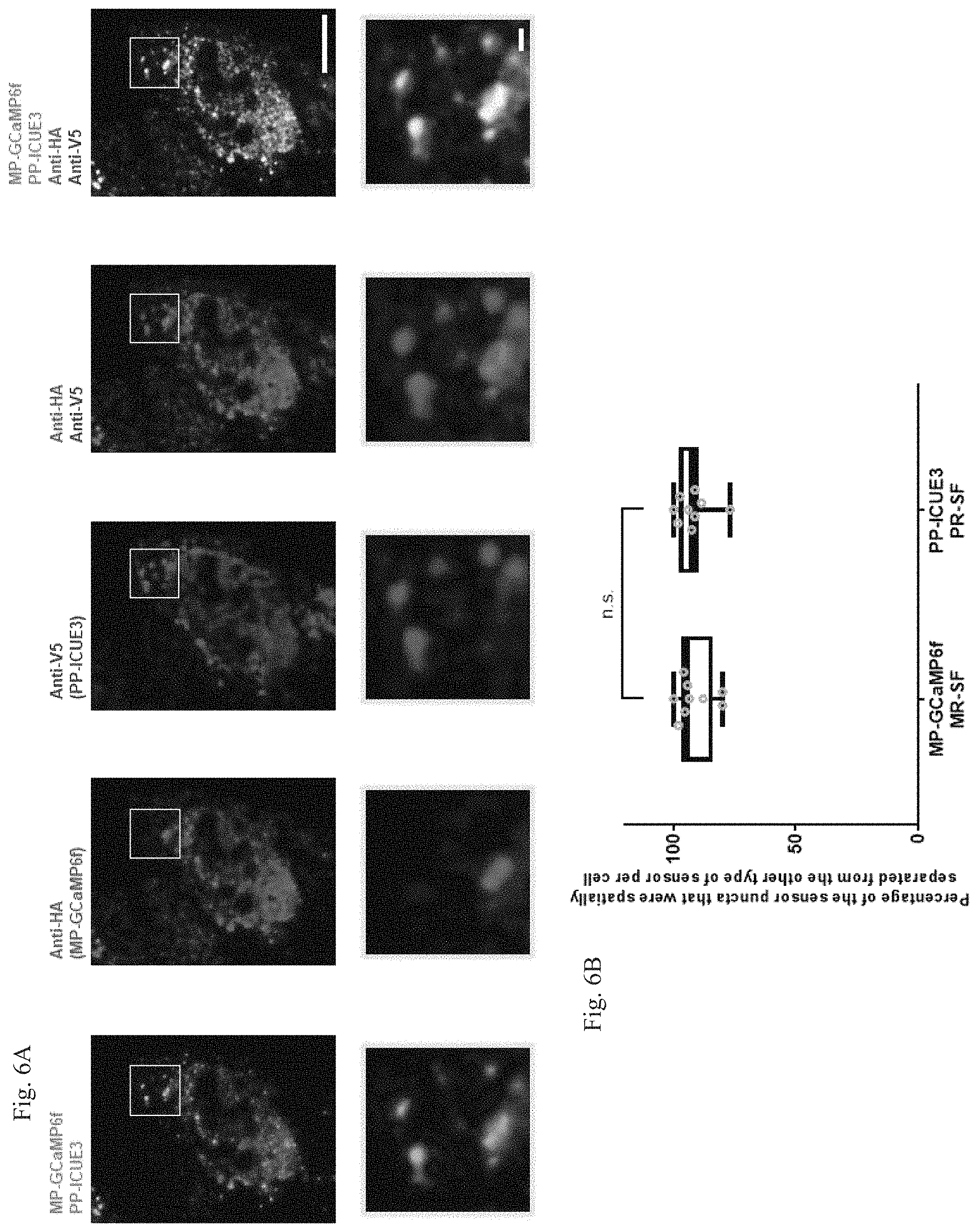 Patent US11782064 Figure 12 – Methods for simultaneous measurement of multiple biological signals from spectrally identical fluorescent reporters