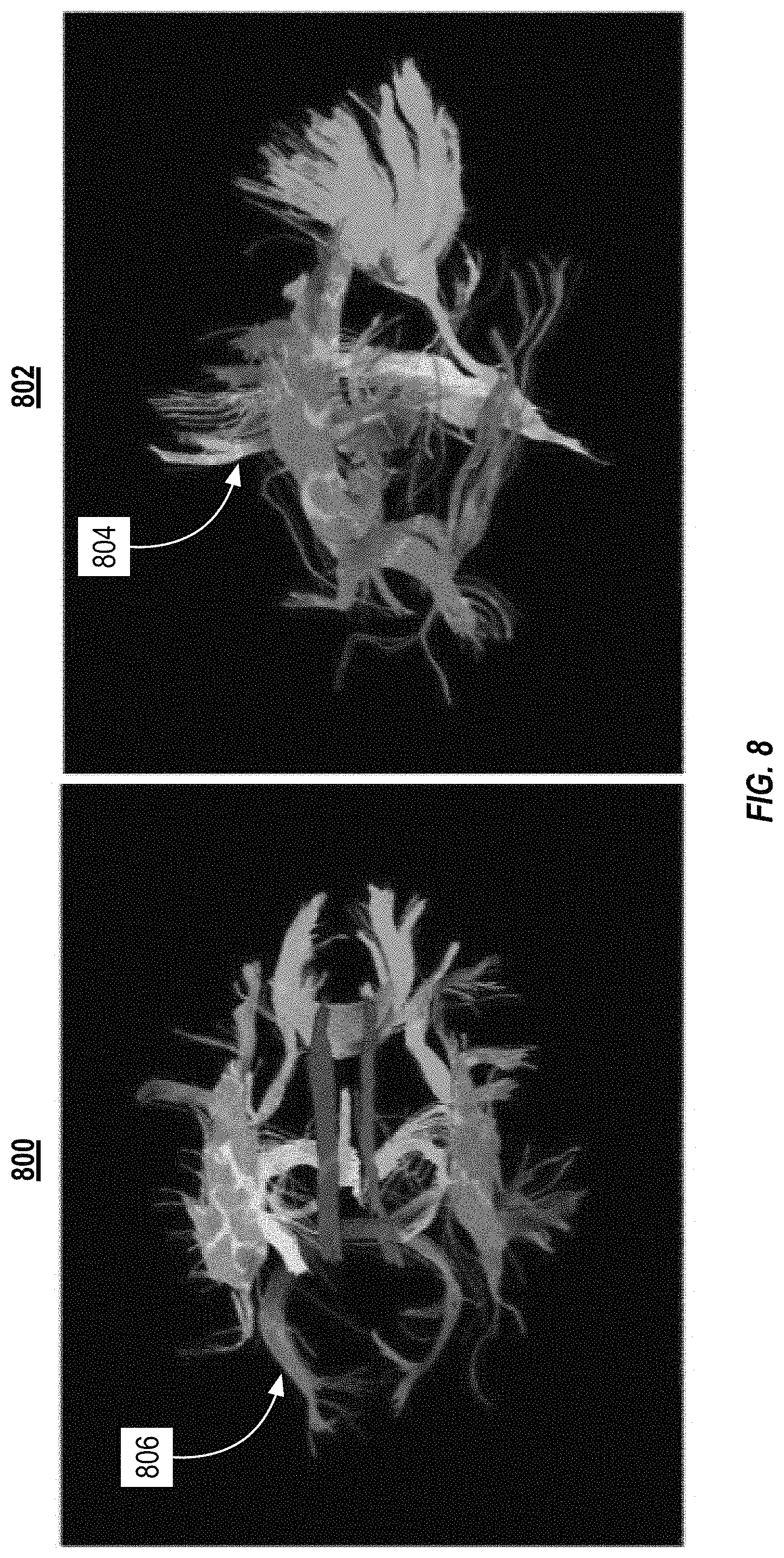 Patent US11782113 Figure 8 – Fiber tracking and segmentation