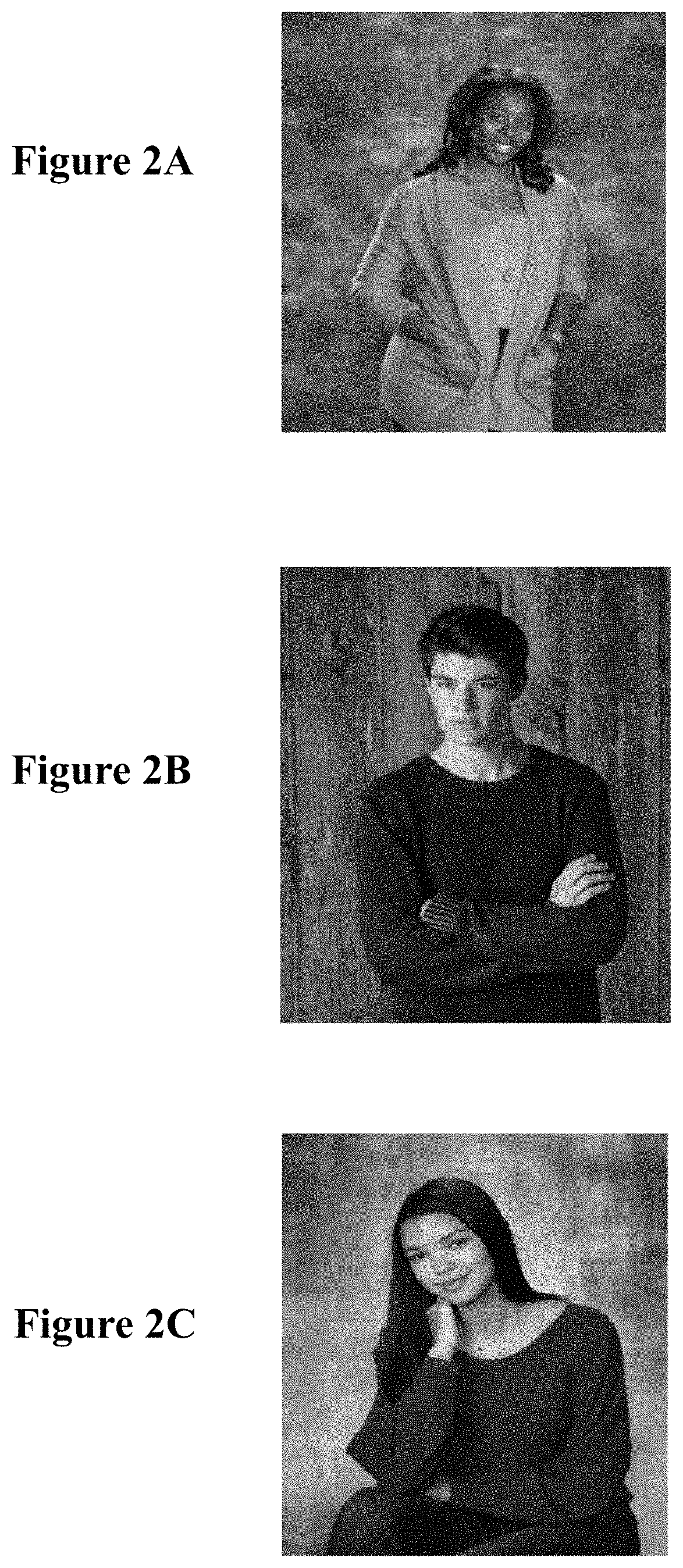 Patent US11783192 Figure 2 – Hybrid deep learning method for recognizing facial expressions