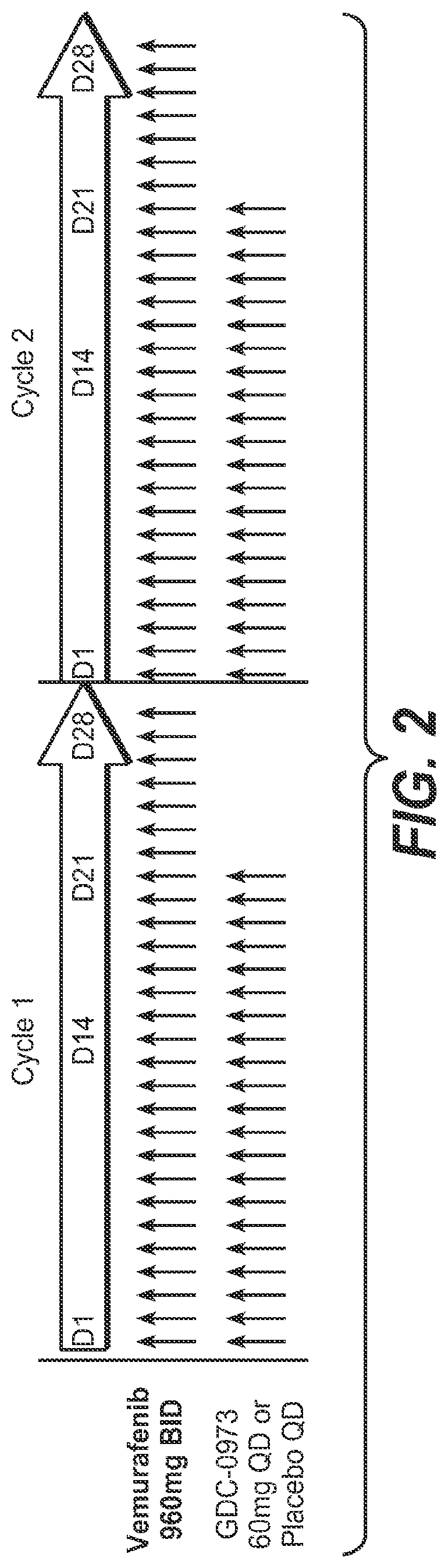 Patent US11783366 Figure 2 – Combination therapies