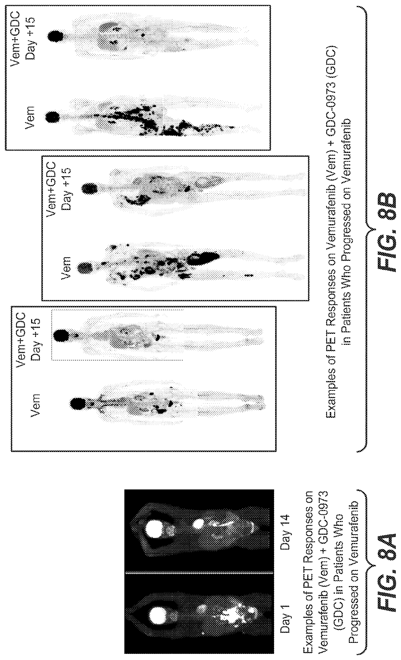 Patent US11783366 Figure 7 – Combination therapies