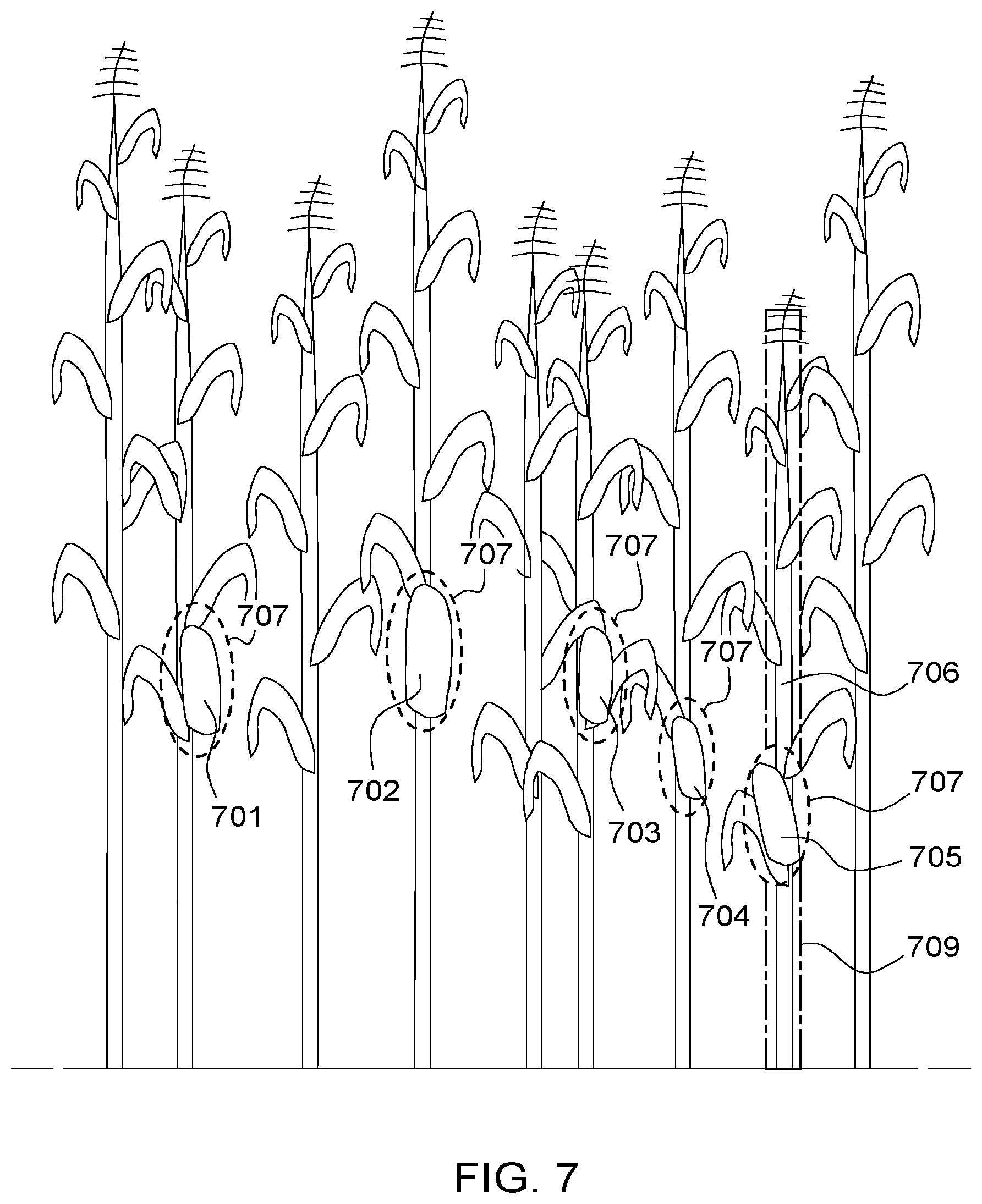 Patent US11783576 Figure 11 – Method and system for optical yield measurement of a standing crop in a field