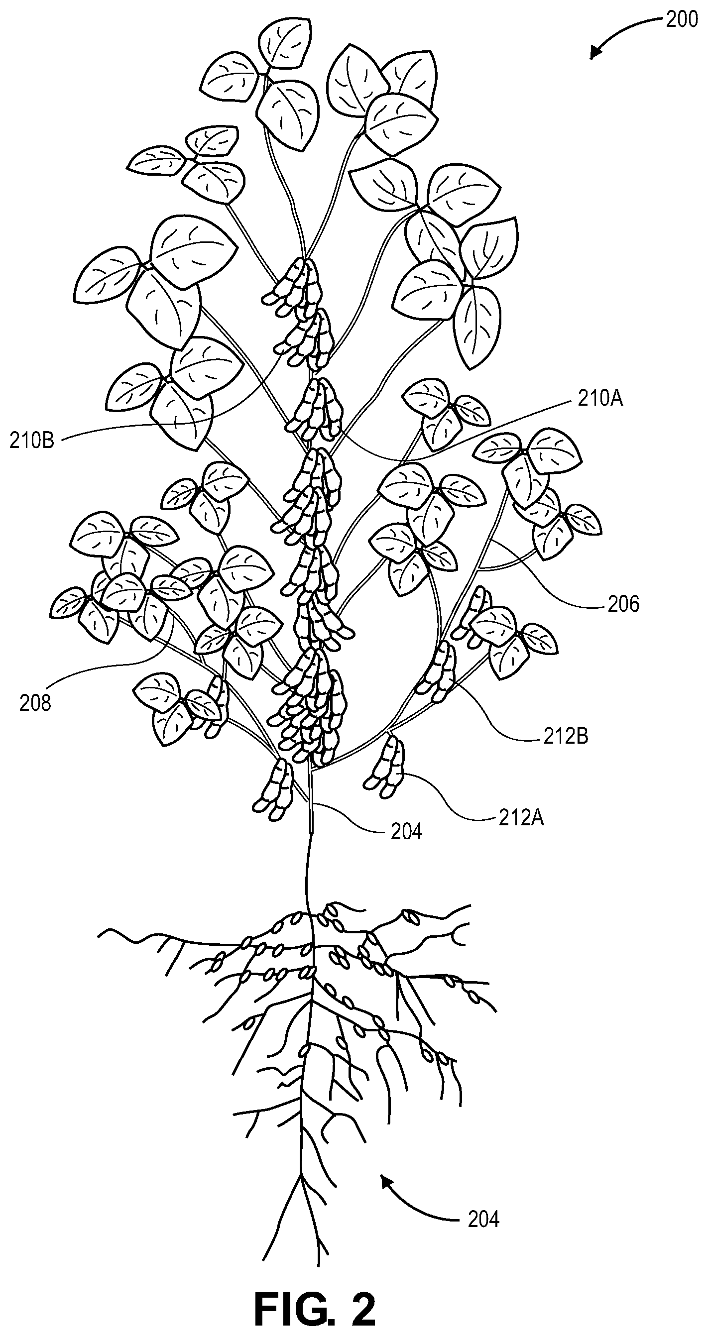 Patent US11783578 Figure 2 – Machine learning methods and systems for variety profile index crop characterization
