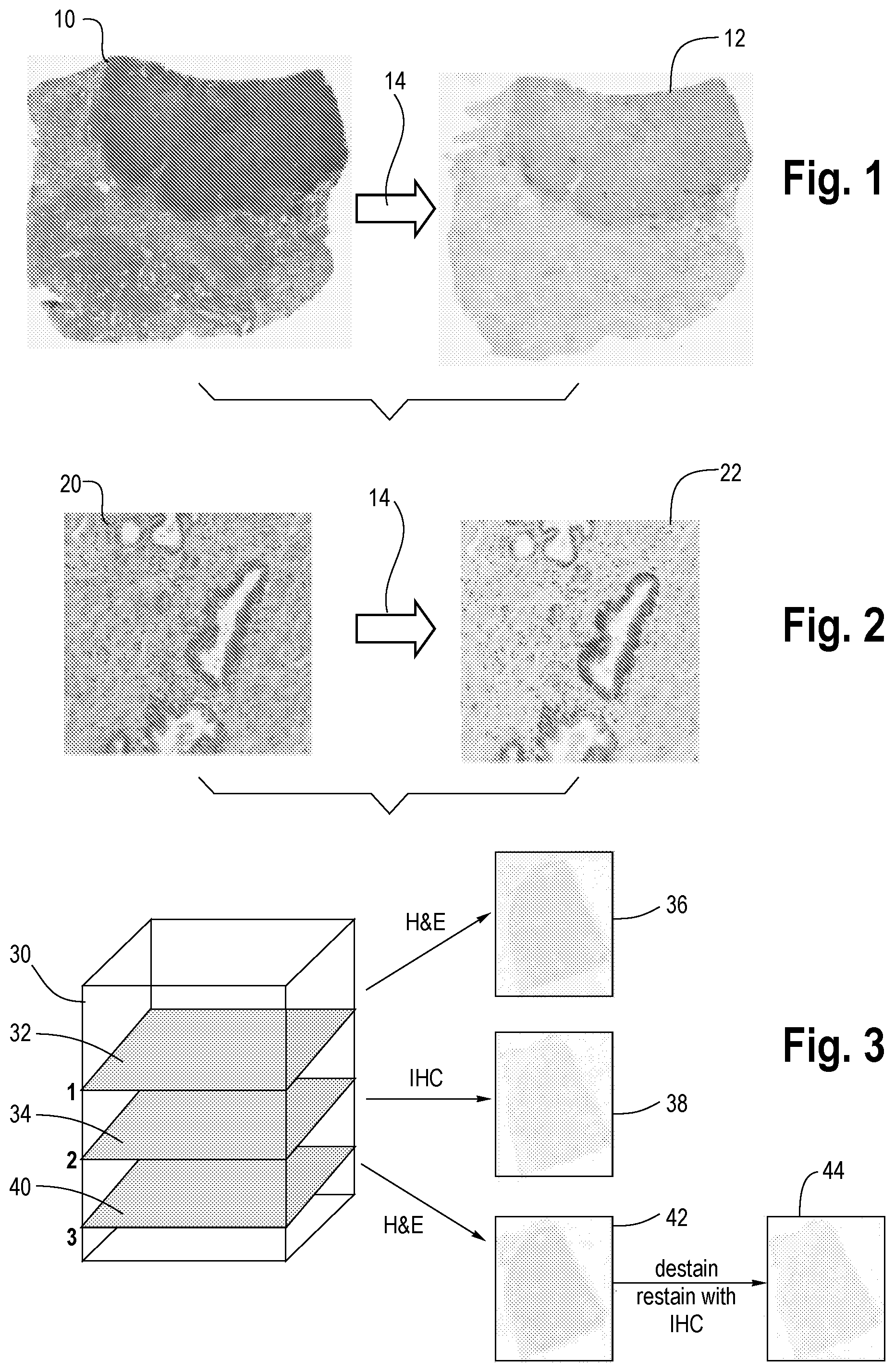 Patent US11783603 Figure 1 – Virtual staining for tissue slide images