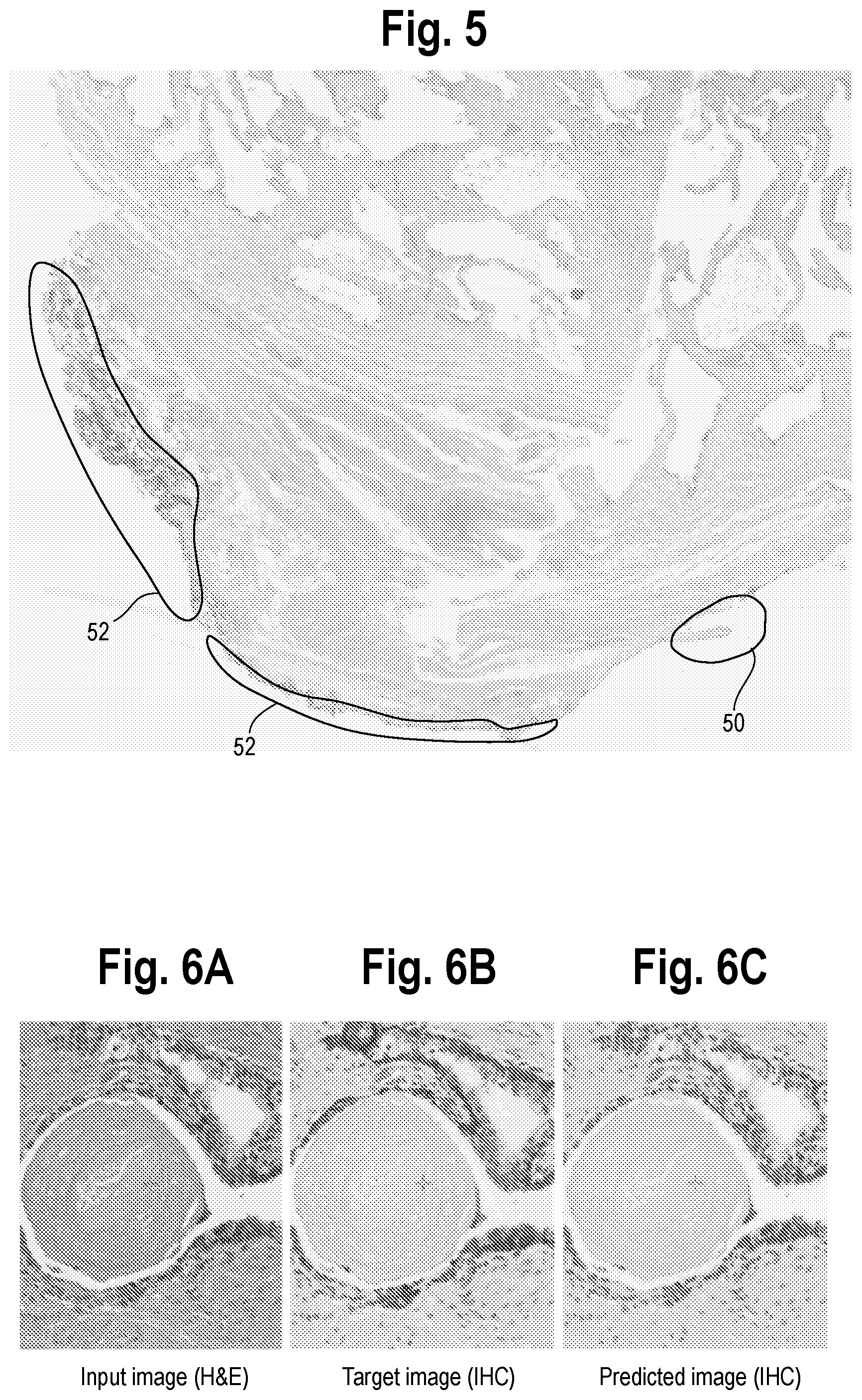Patent US11783603 Figure 3 – Virtual staining for tissue slide images