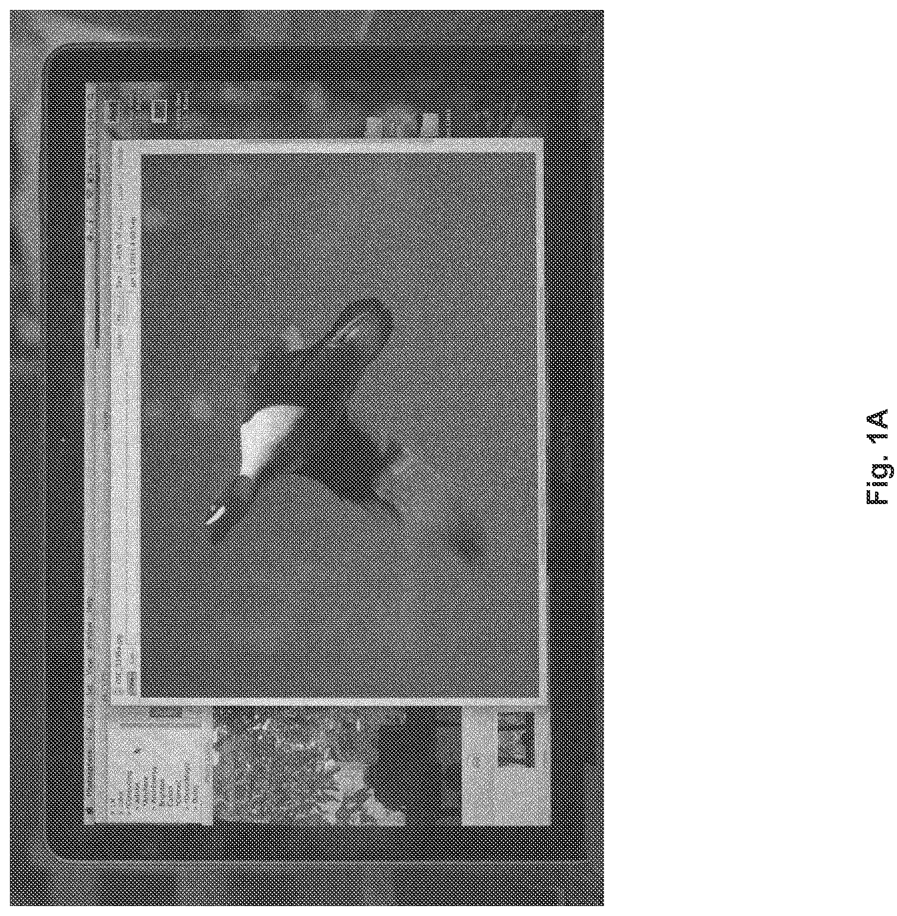 Patent US11783796 Figure 1 – System and method for compensation of reflection on a display device