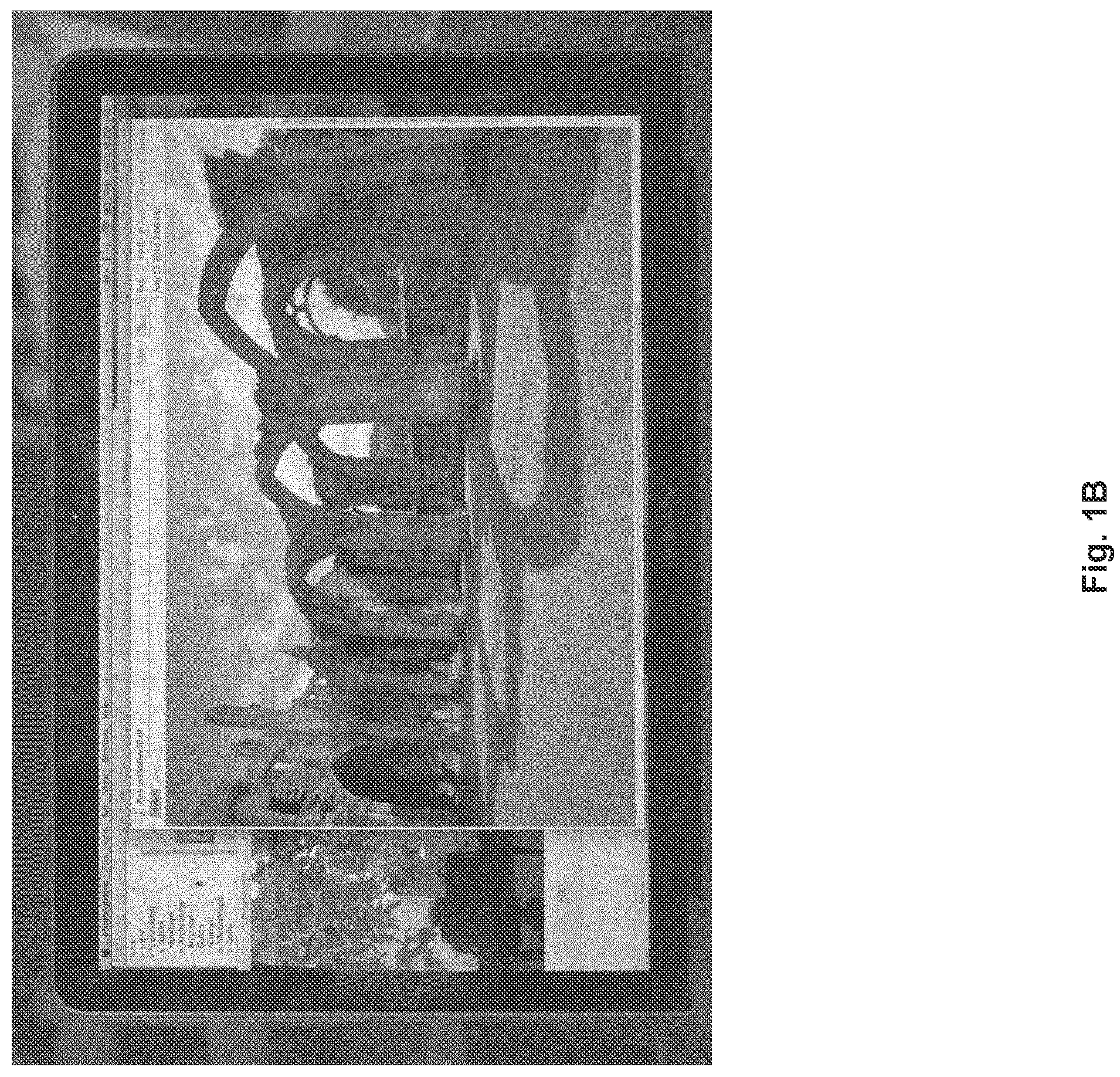 Patent US11783796 Figure 2 – System and method for compensation of reflection on a display device