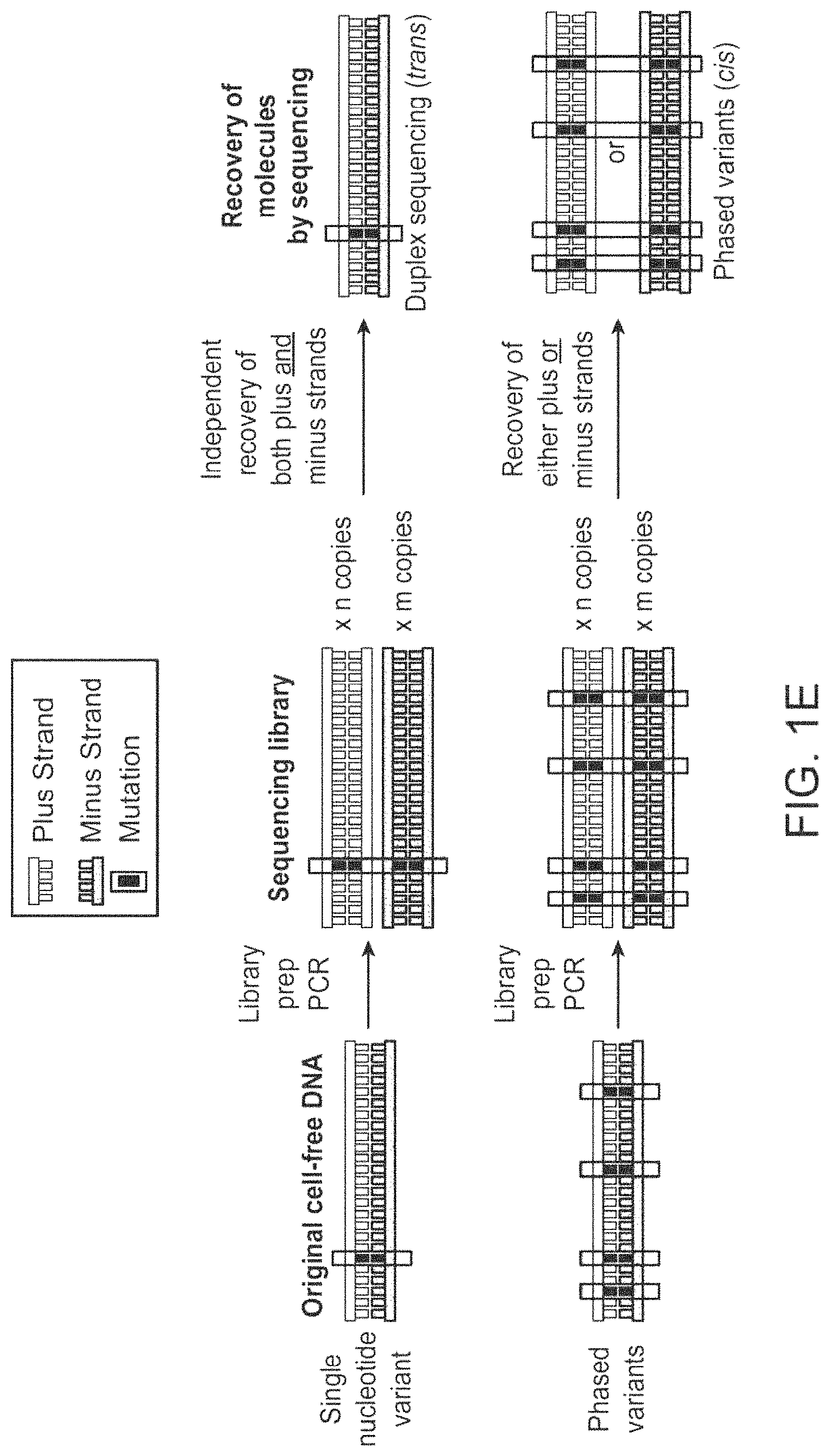 Patent US11783912 Figure 4 – Methods and systems for analyzing nucleic acid molecules