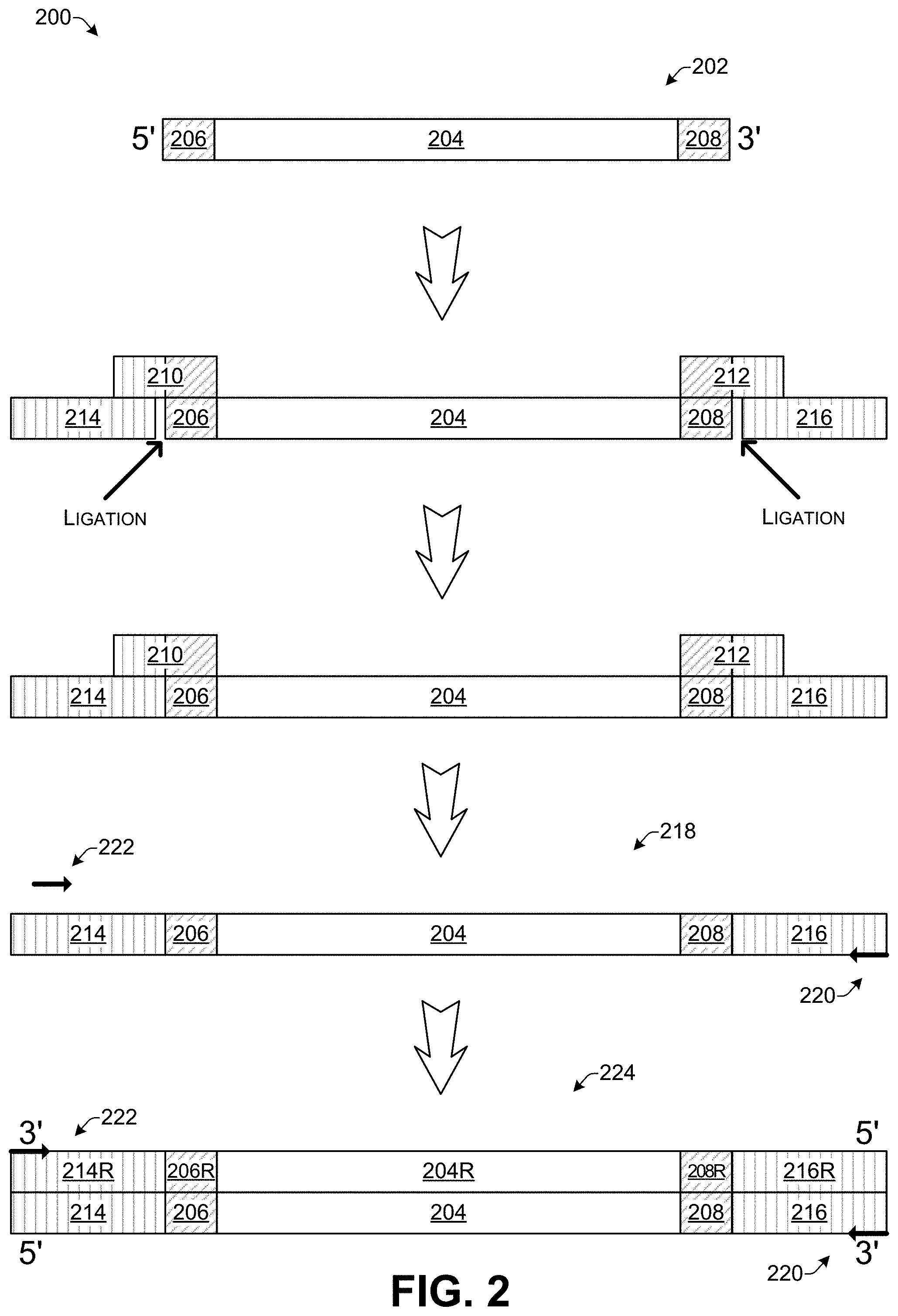 Patent US11783918 Figure 2 – DNA random access storage system via ligation