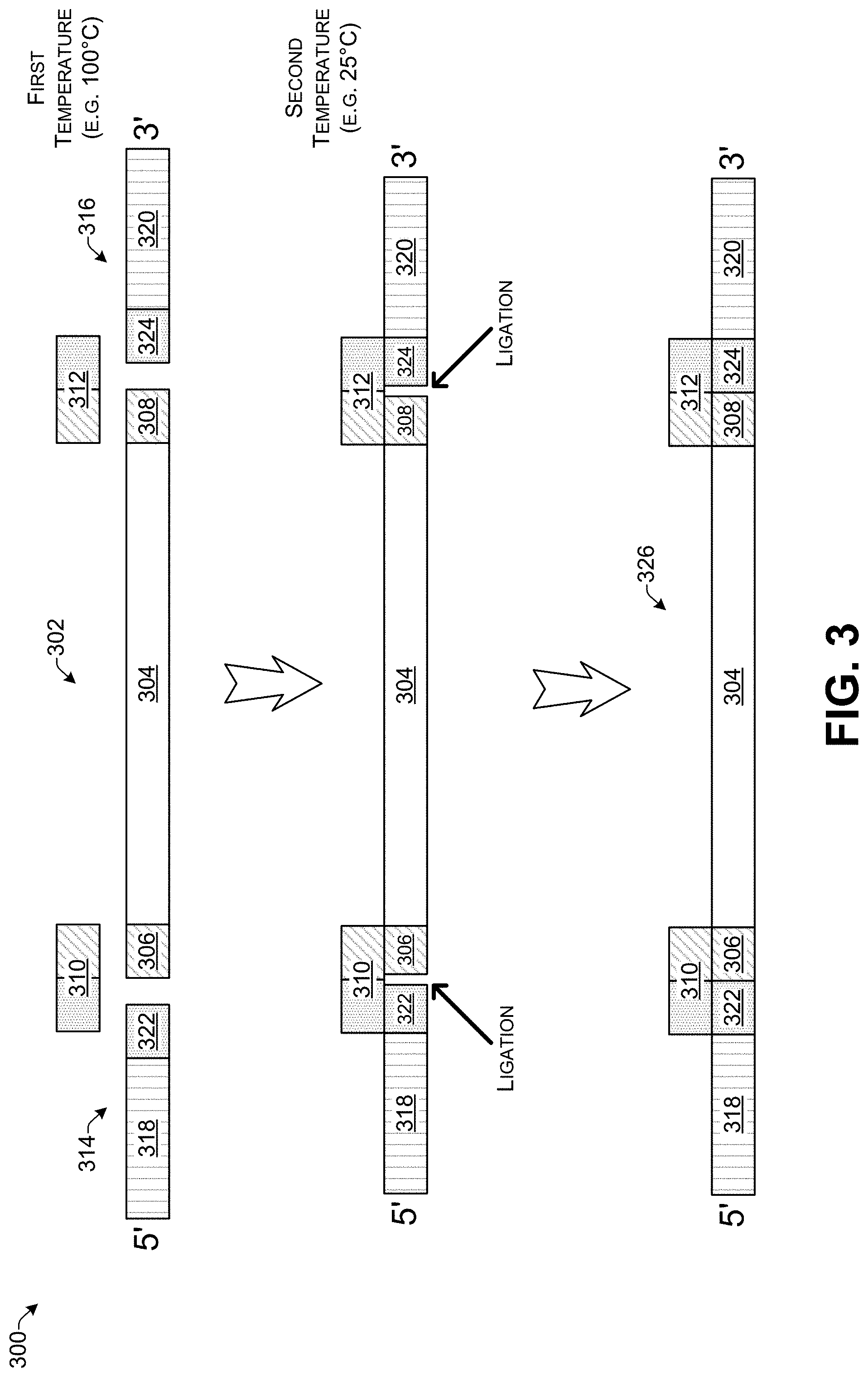 Patent US11783918 Figure 3 – DNA random access storage system via ligation