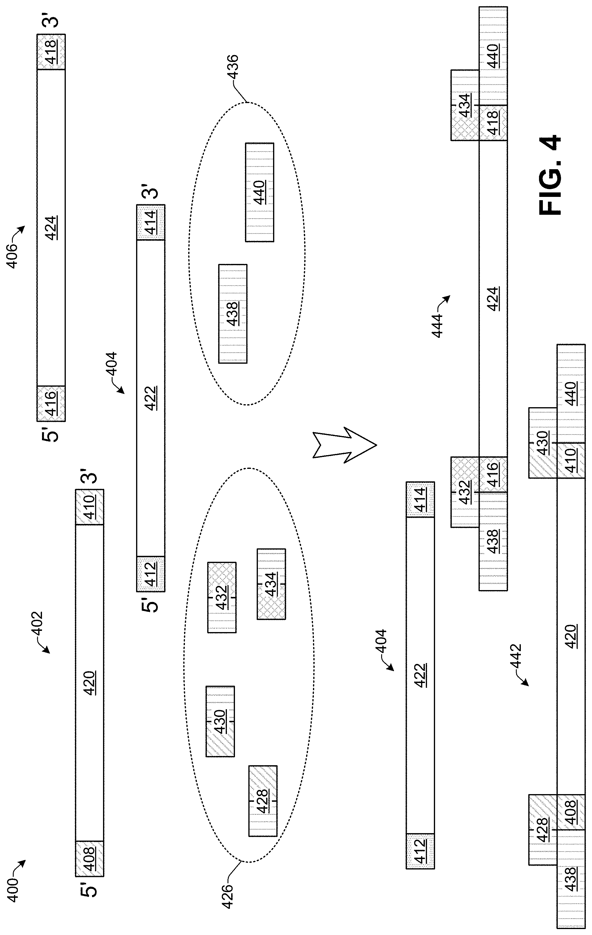 Patent US11783918 Figure 4 – DNA random access storage system via ligation
